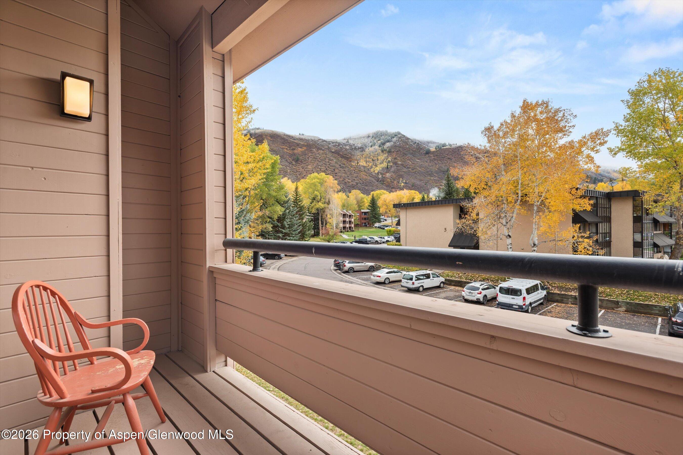 131 Vine Street Aspen CO 81611