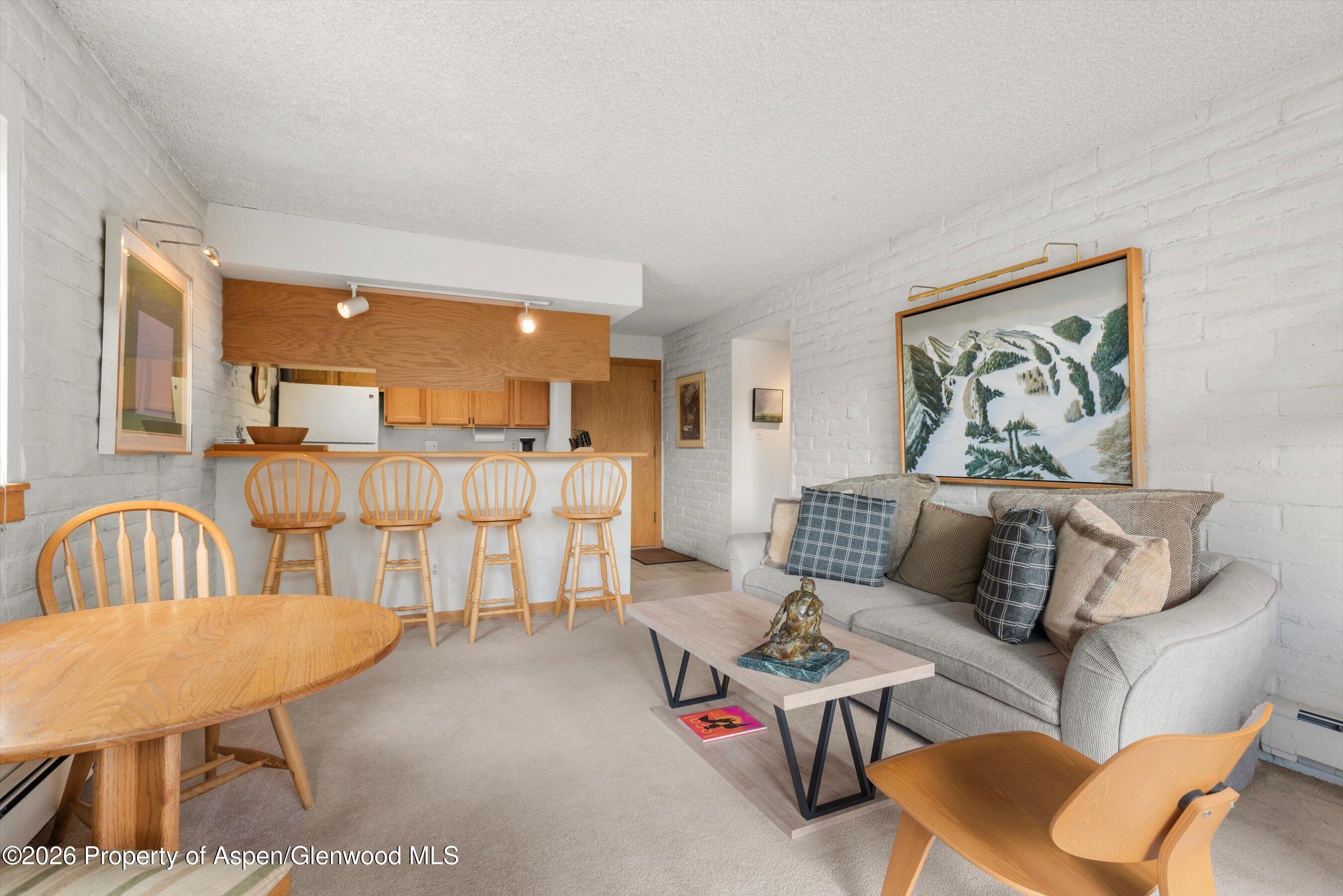 131 Vine Street Aspen CO 81611