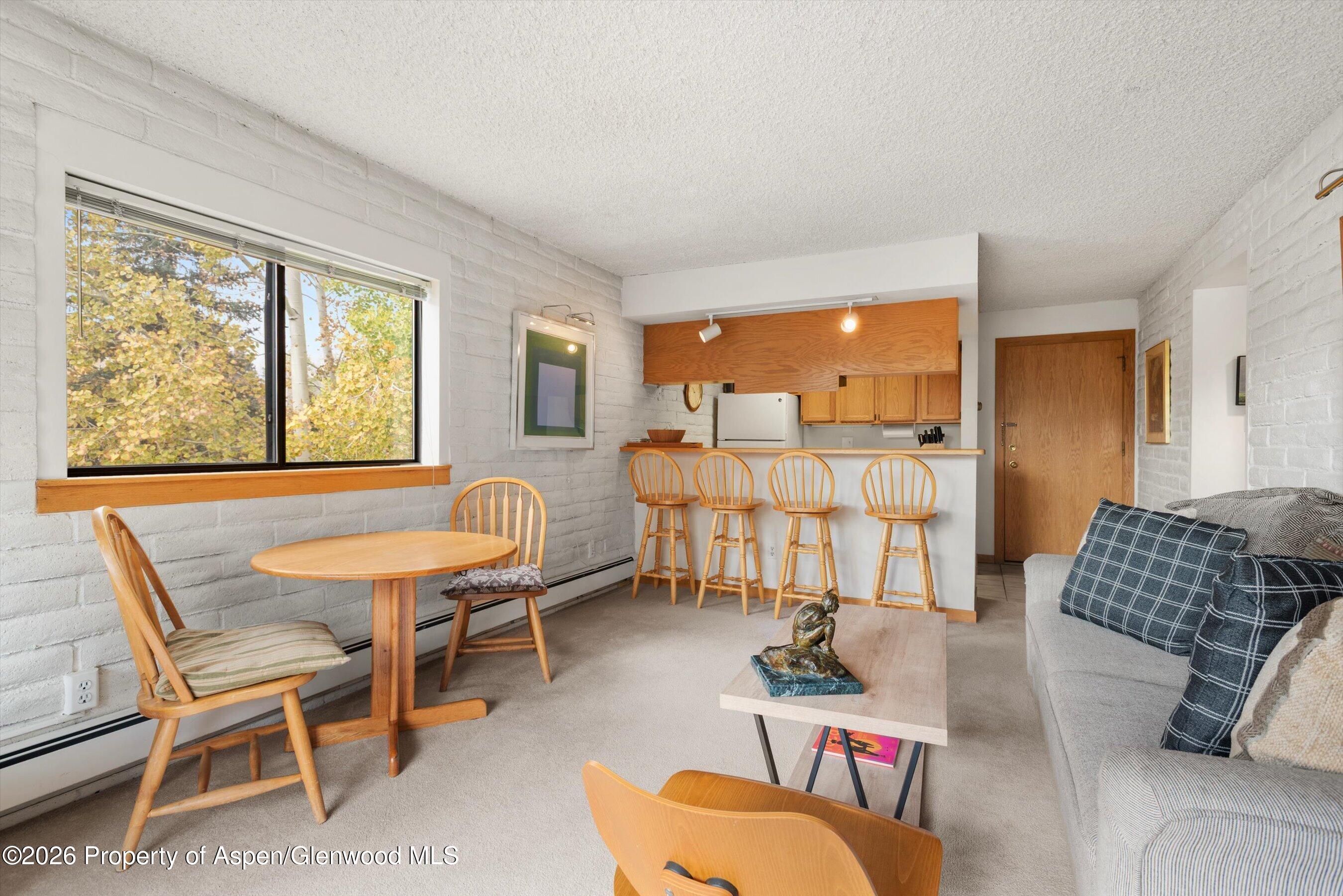 131 Vine Street Aspen CO 81611