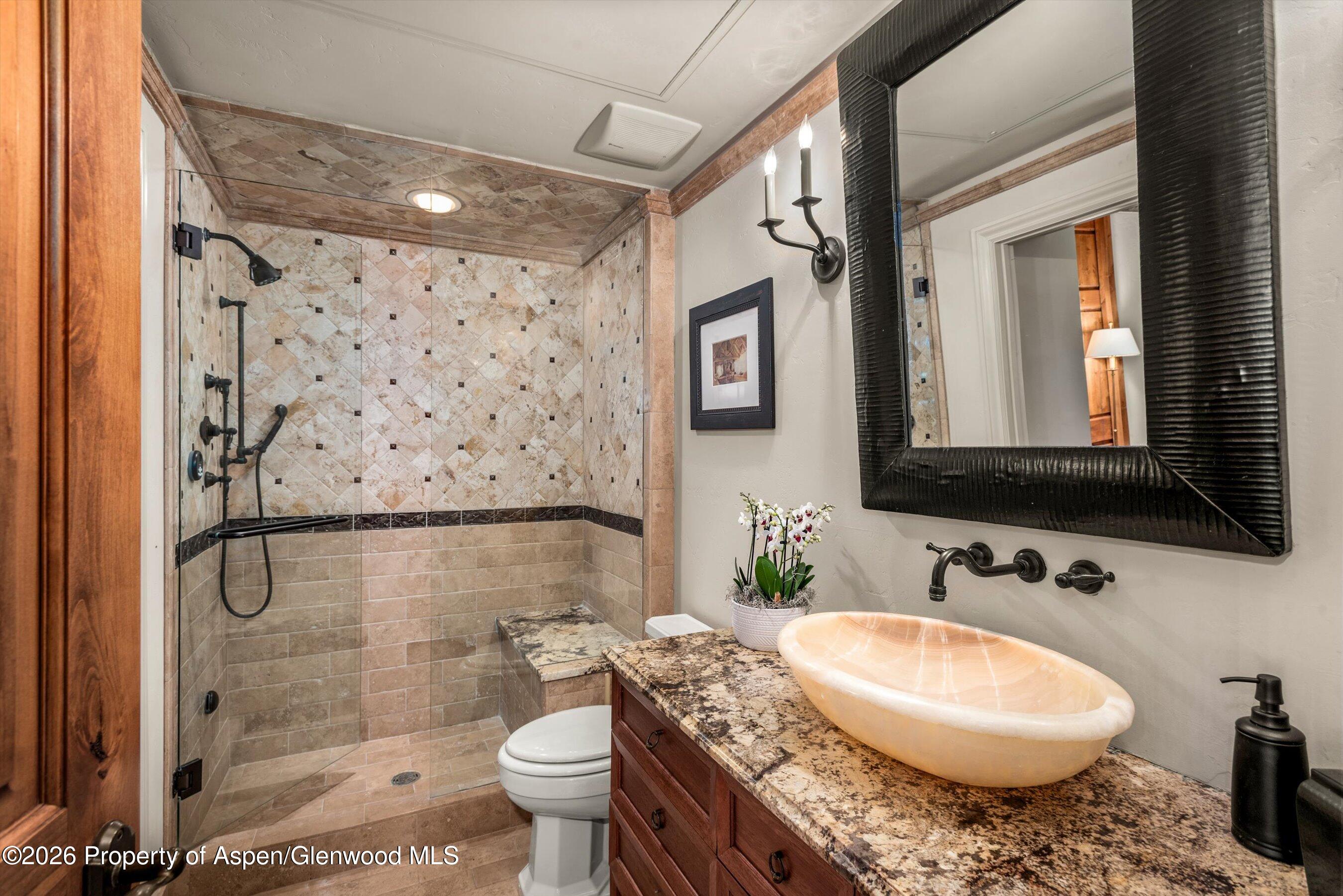 455 Gold Rivers Court Basalt CO 81621