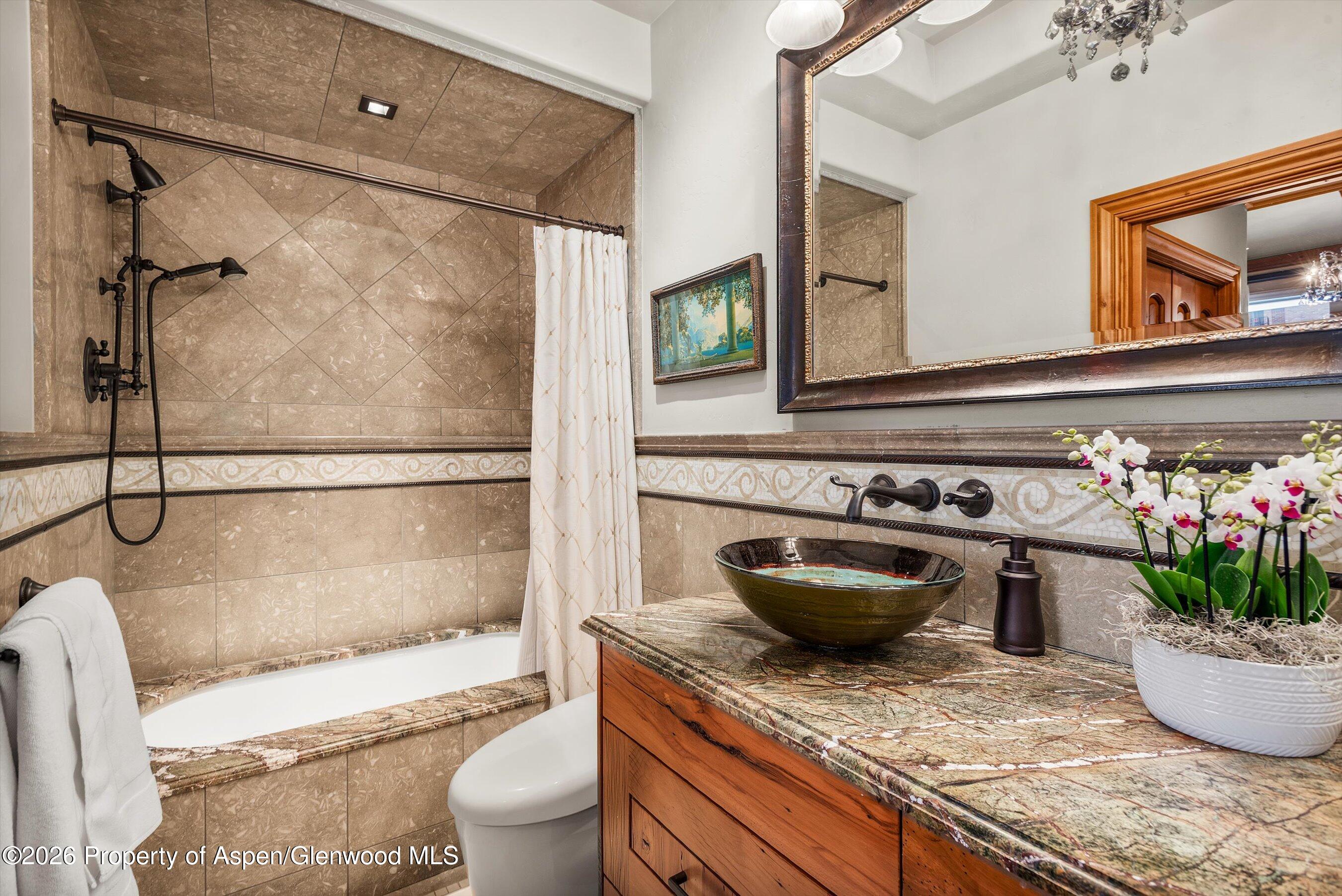 455 Gold Rivers Court Basalt CO 81621