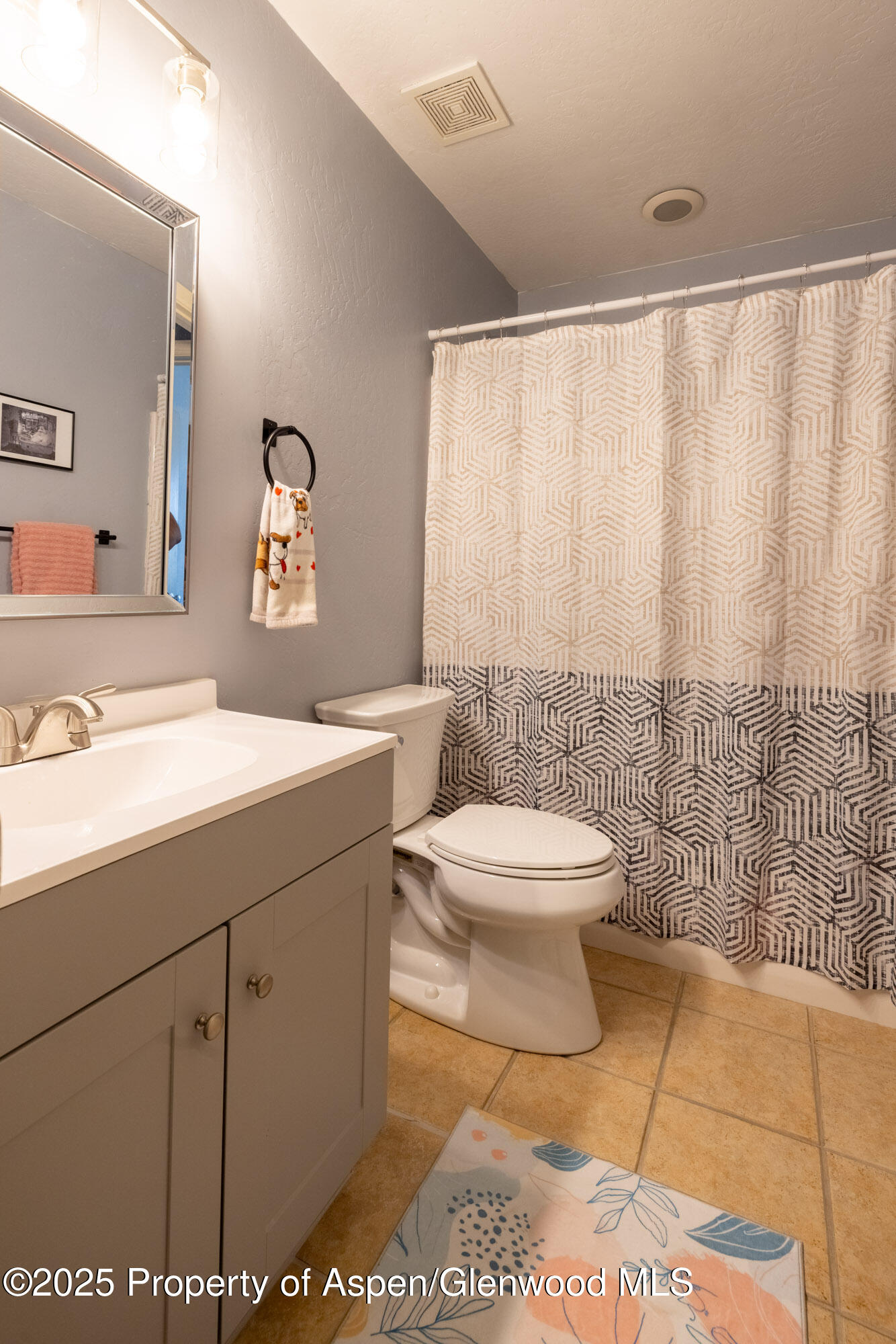 614 Lakeside Drive Basalt CO 81621