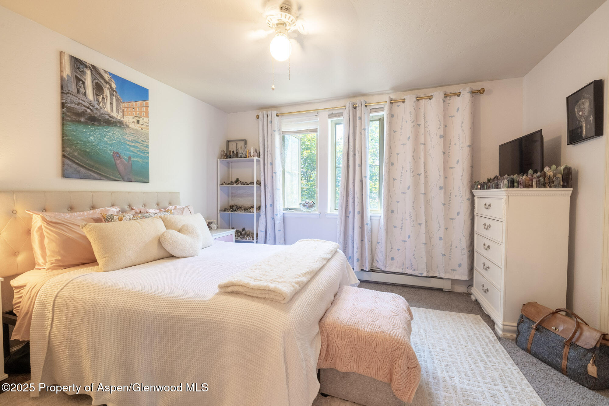 614 Lakeside Drive Basalt CO 81621