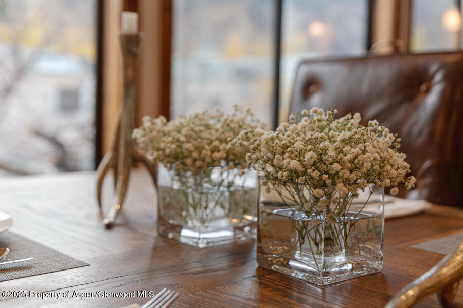 725 E Main Street Aspen CO 81611