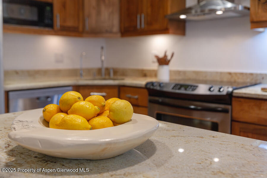 725 E Main Street Aspen CO 81611