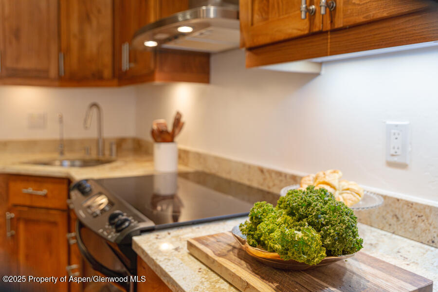 725 E Main Street Aspen CO 81611