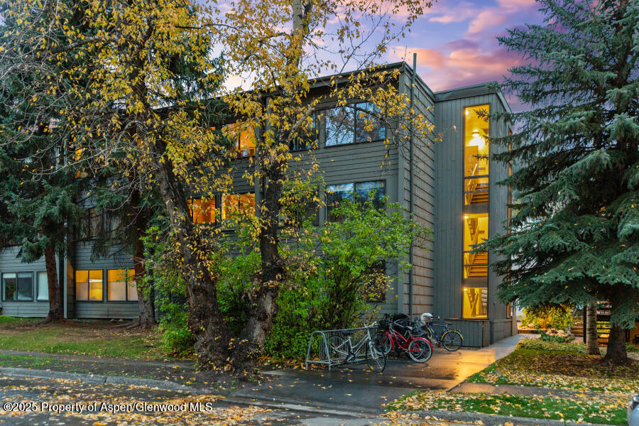 725 E Main Street Aspen CO 81611