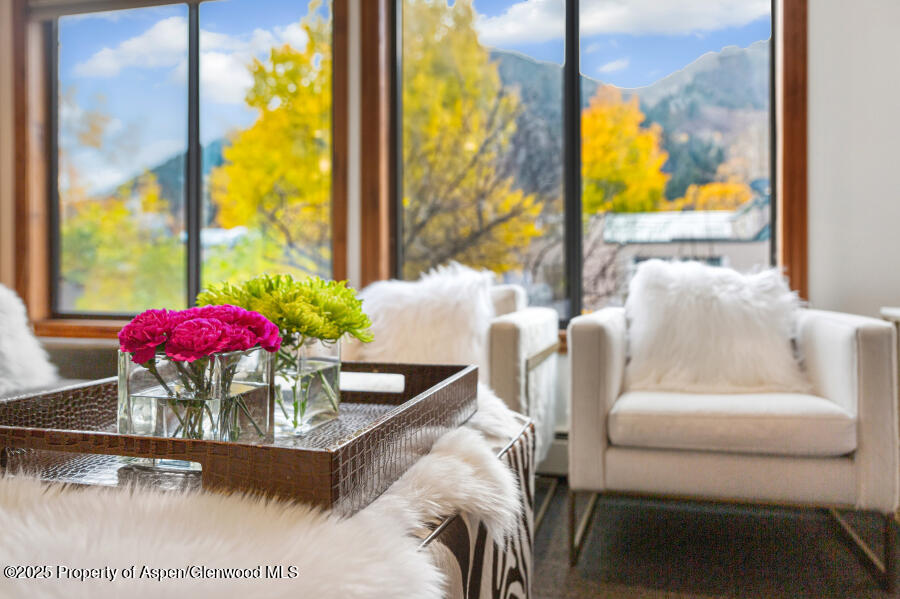 725 E Main Street Aspen CO 81611
