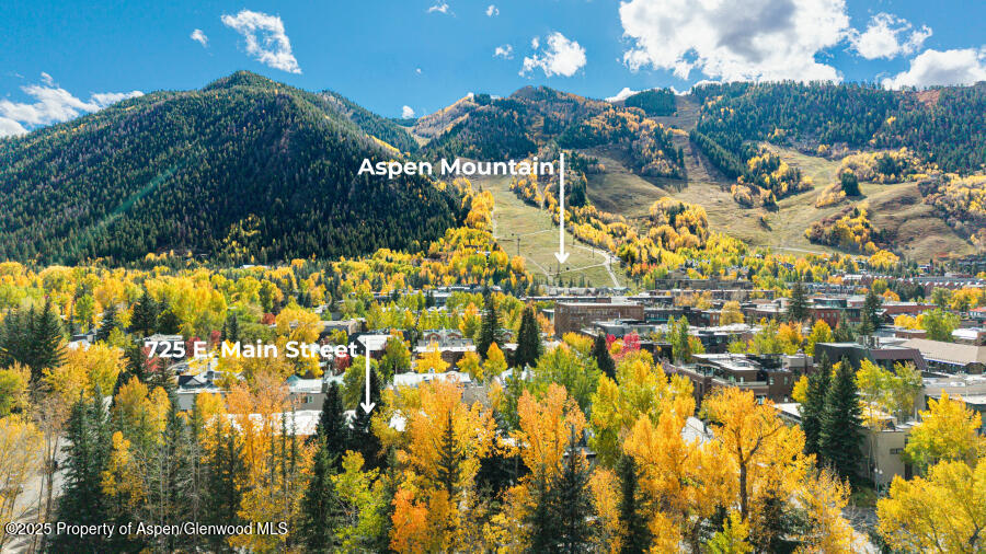 725 E Main Street Aspen CO 81611