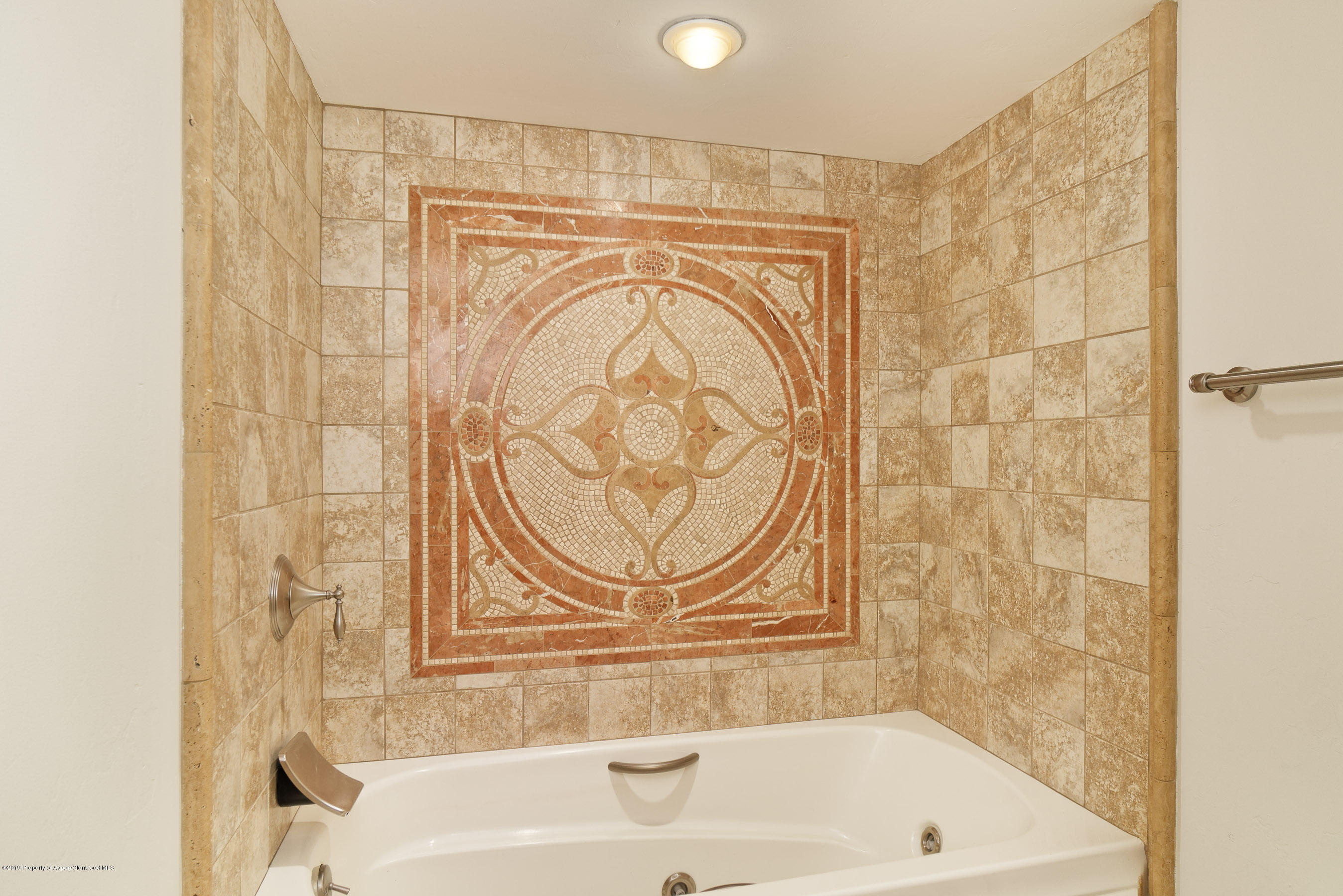 610 S West End Street Aspen CO 81611
