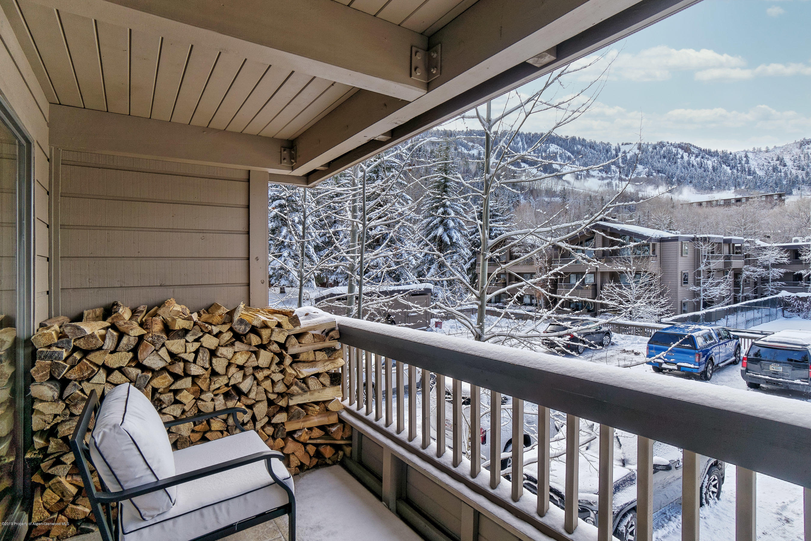 610 S West End Street Aspen CO 81611