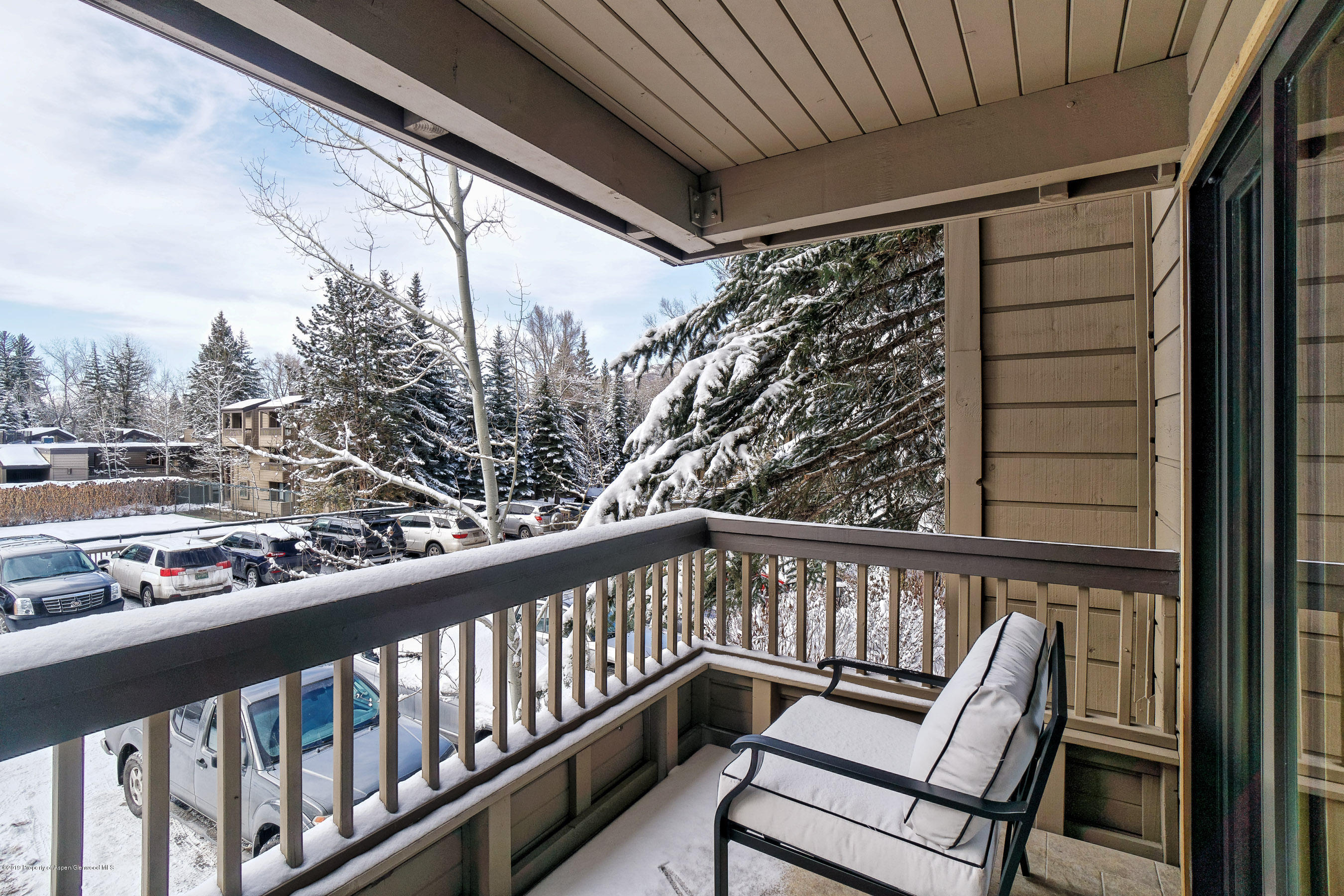 610 S West End Street Aspen CO 81611