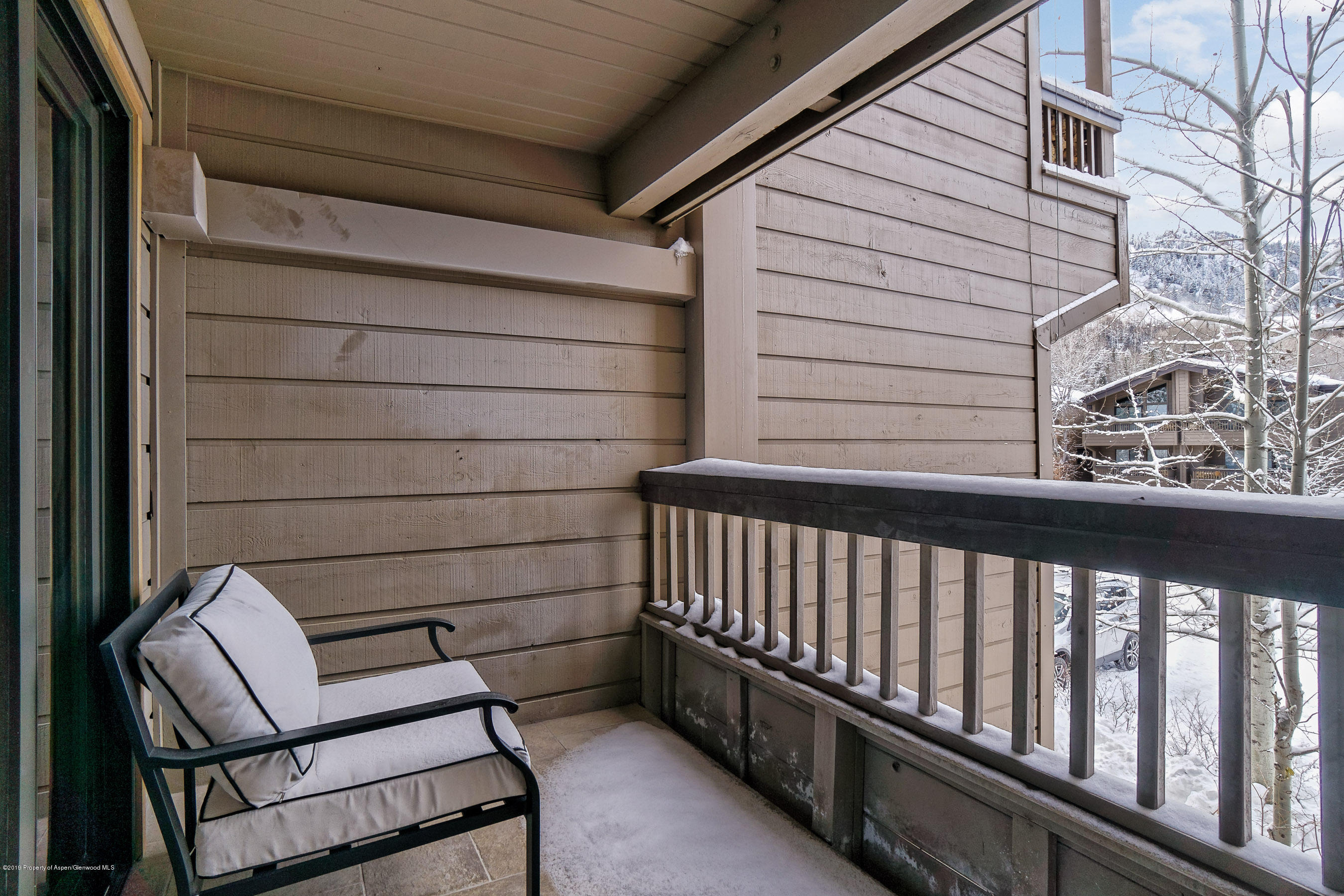 610 S West End Street Aspen CO 81611