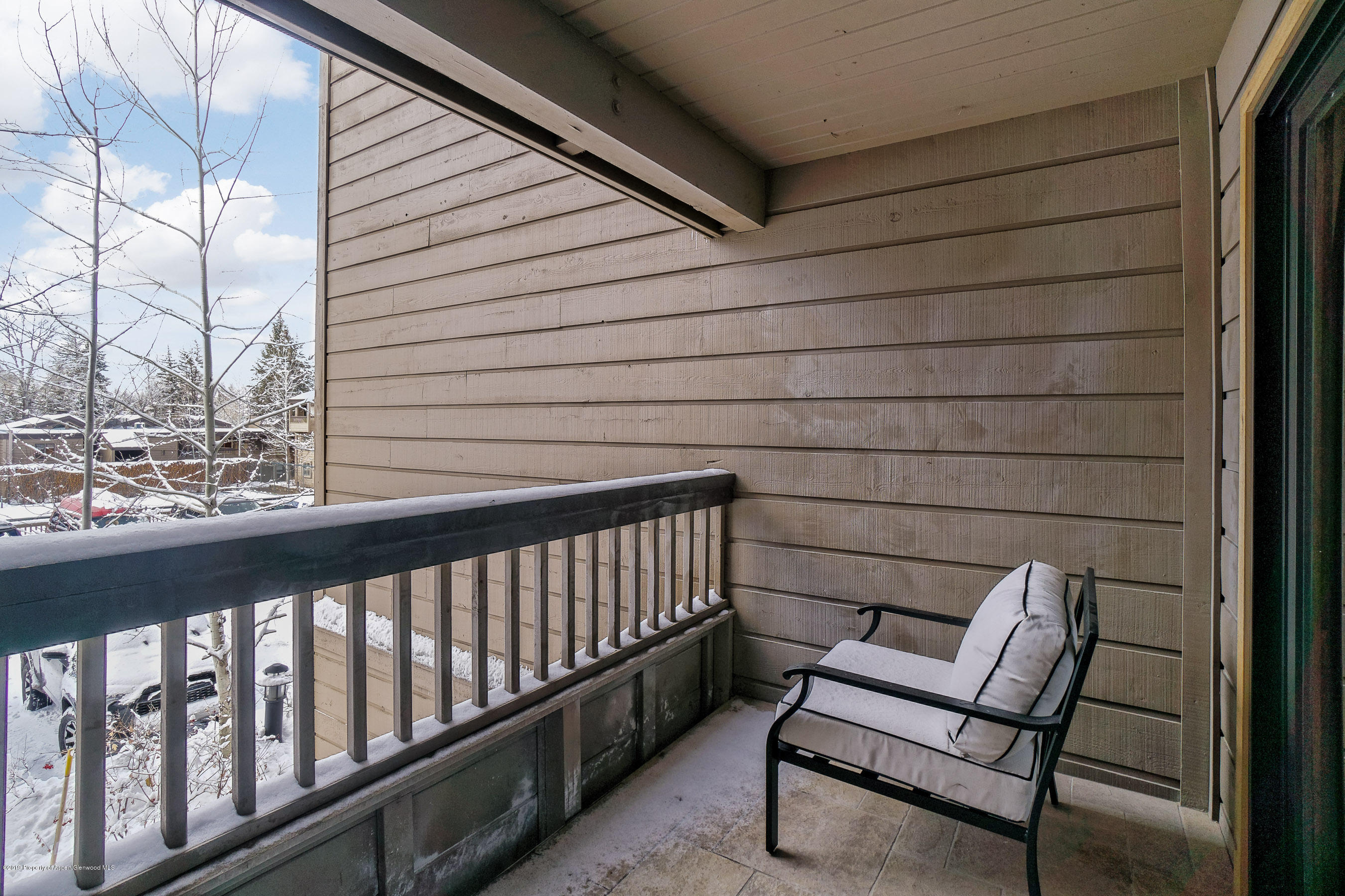 610 S West End Street Aspen CO 81611