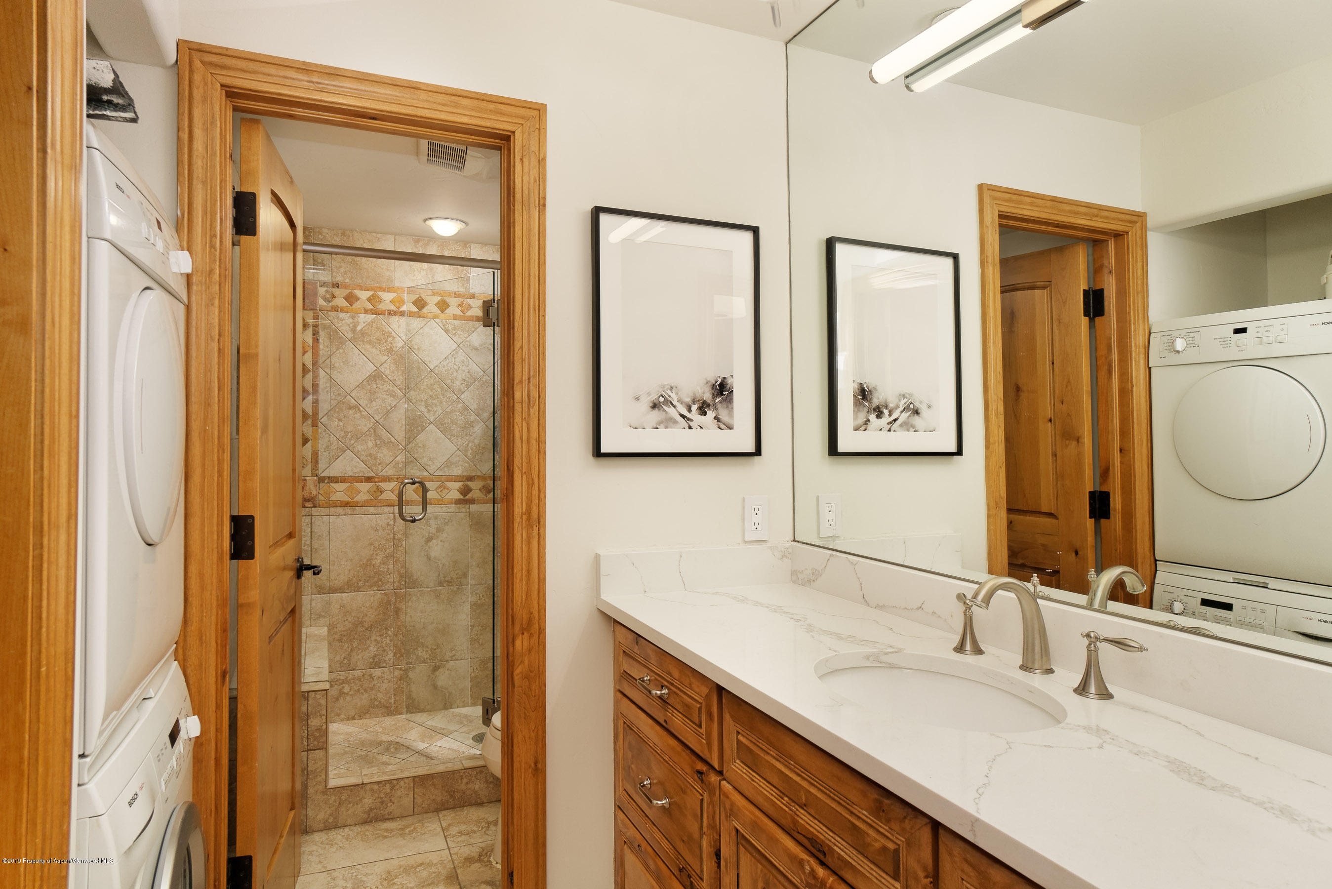610 S West End Street Aspen CO 81611