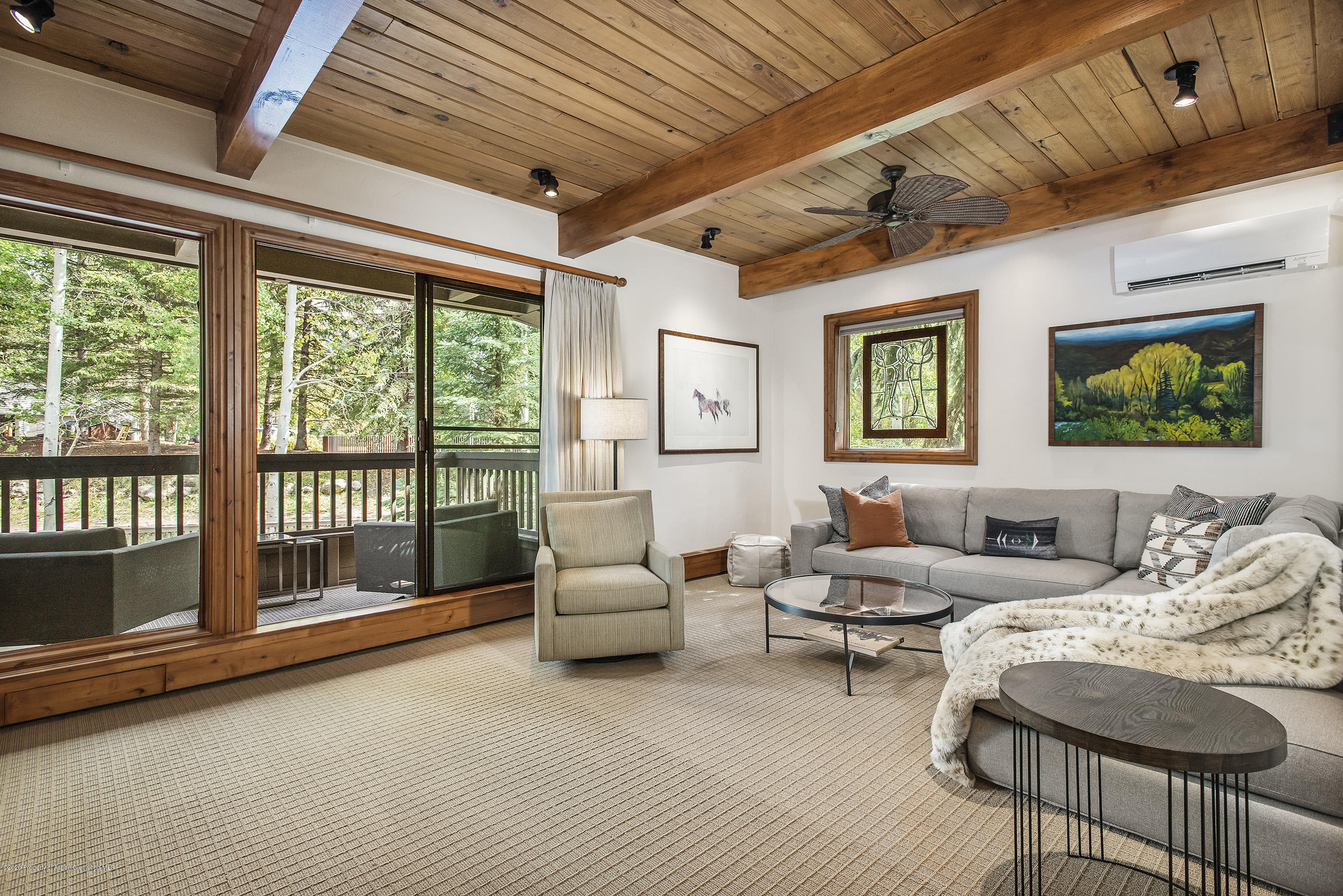 610 S West End Street Aspen CO 81611
