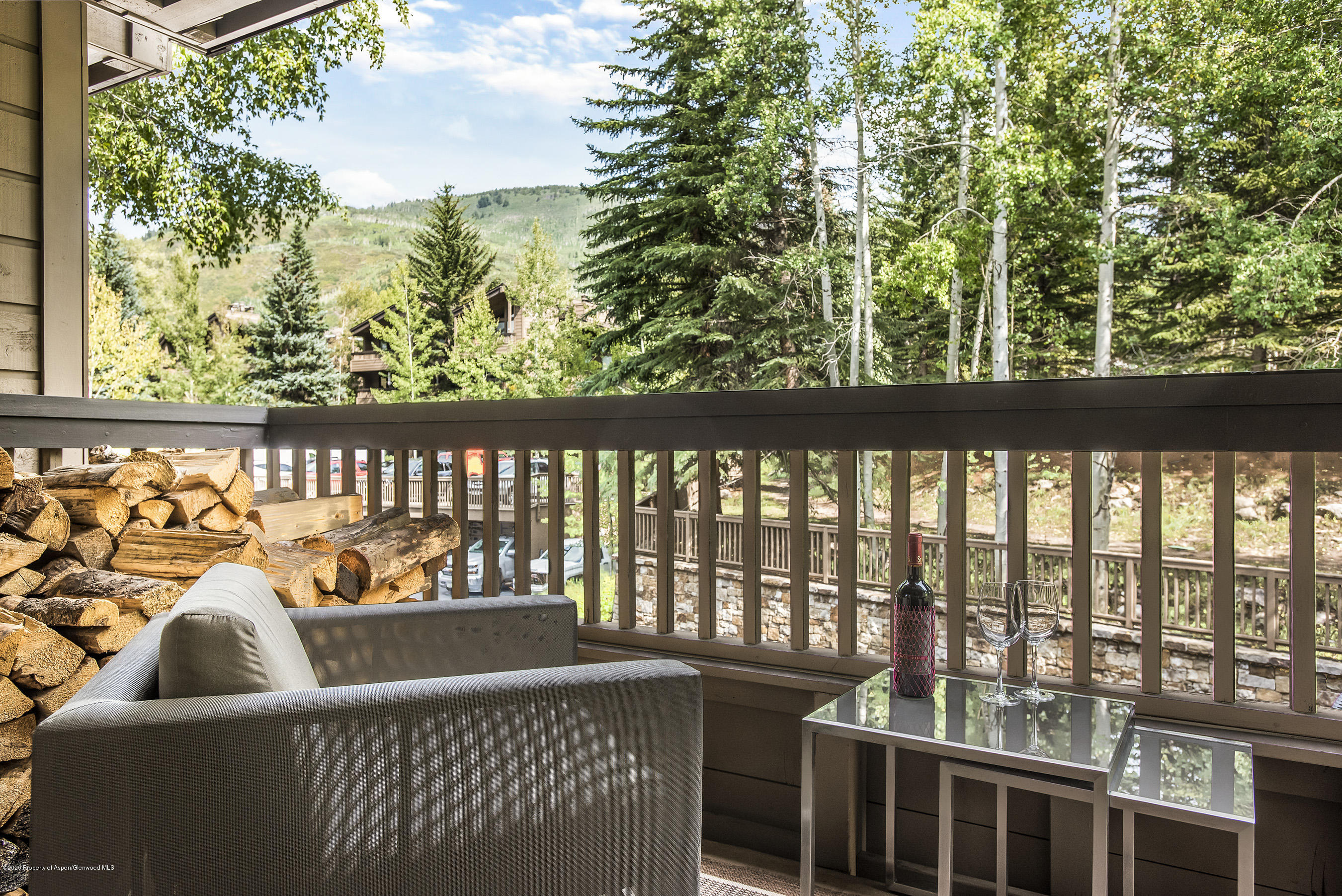 610 S West End Street Aspen CO 81611