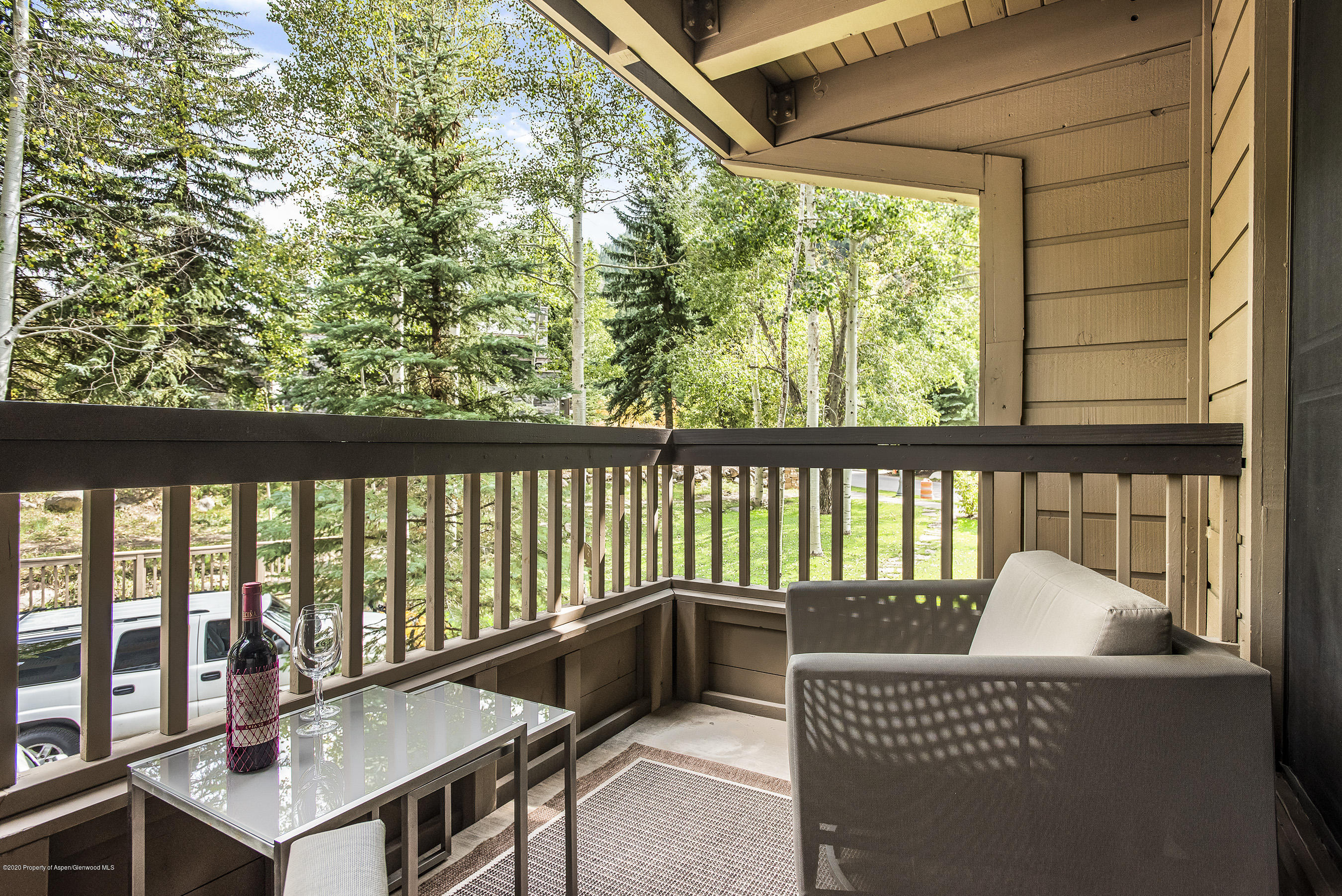 610 S West End Street Aspen CO 81611