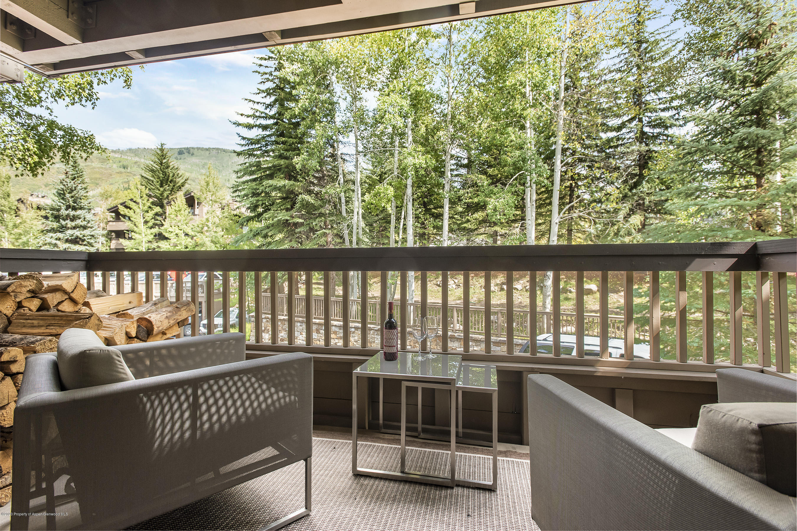 610 S West End Street Aspen CO 81611