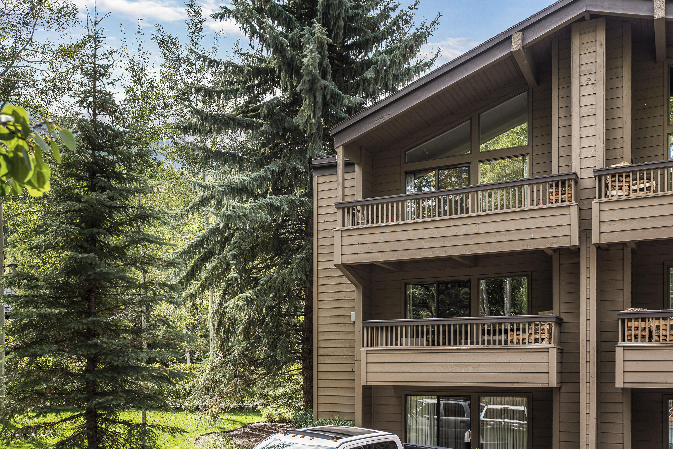 610 S West End Street Aspen CO 81611