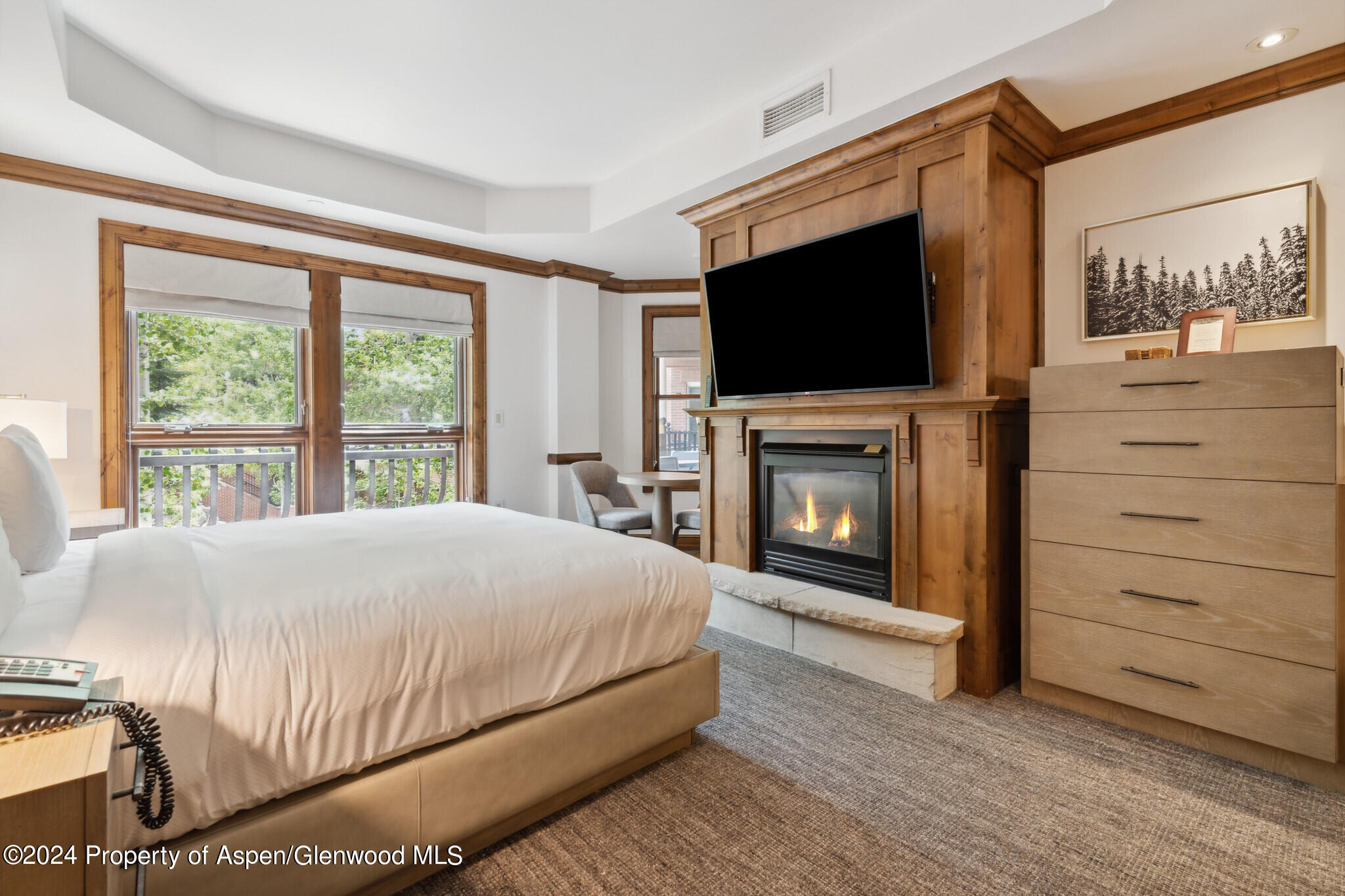 415 E Dean St, Unit 18, Week 27 Aspen CO 81611