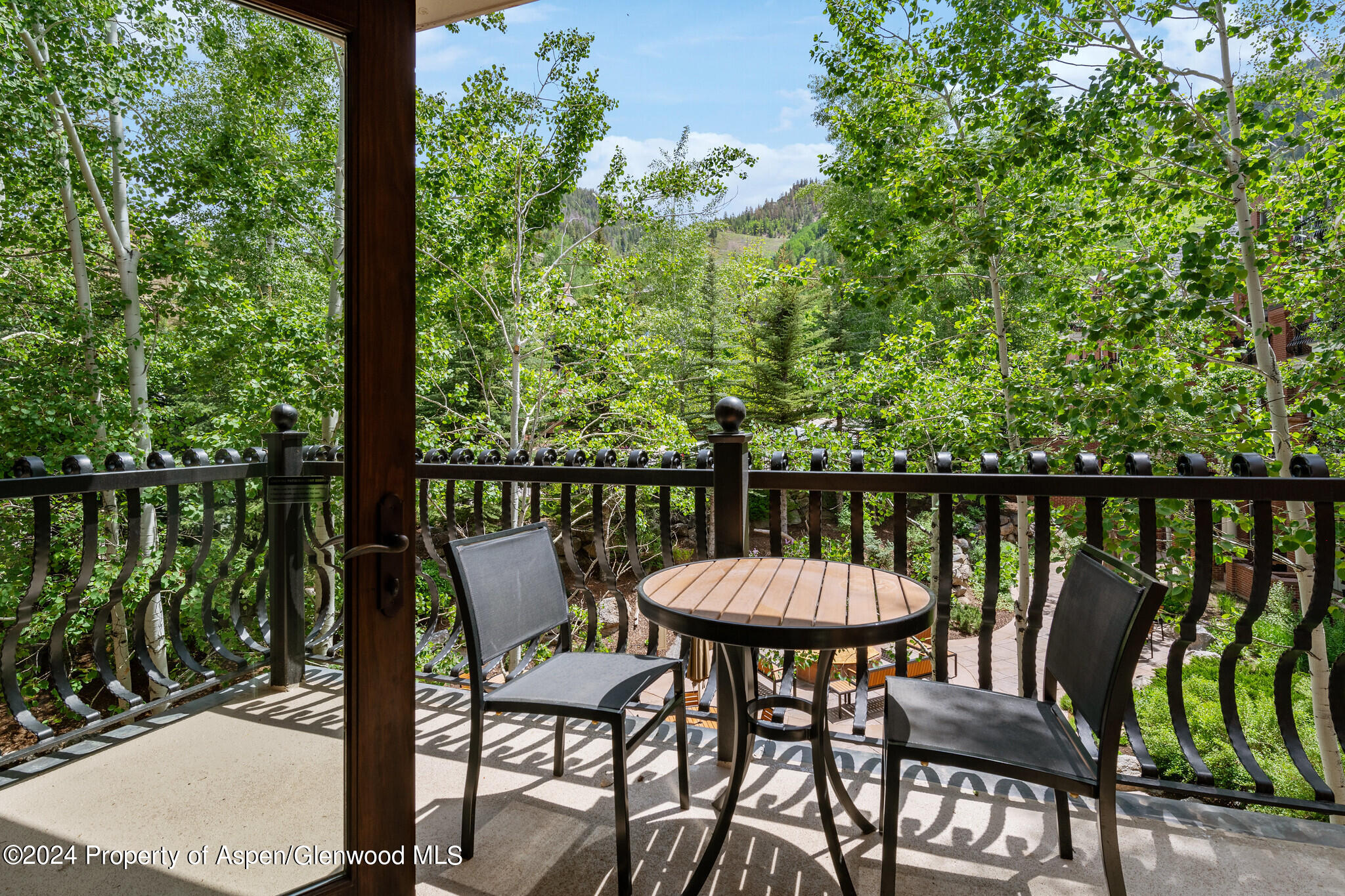 415 E Dean St, Unit 18, Week 27 Aspen CO 81611