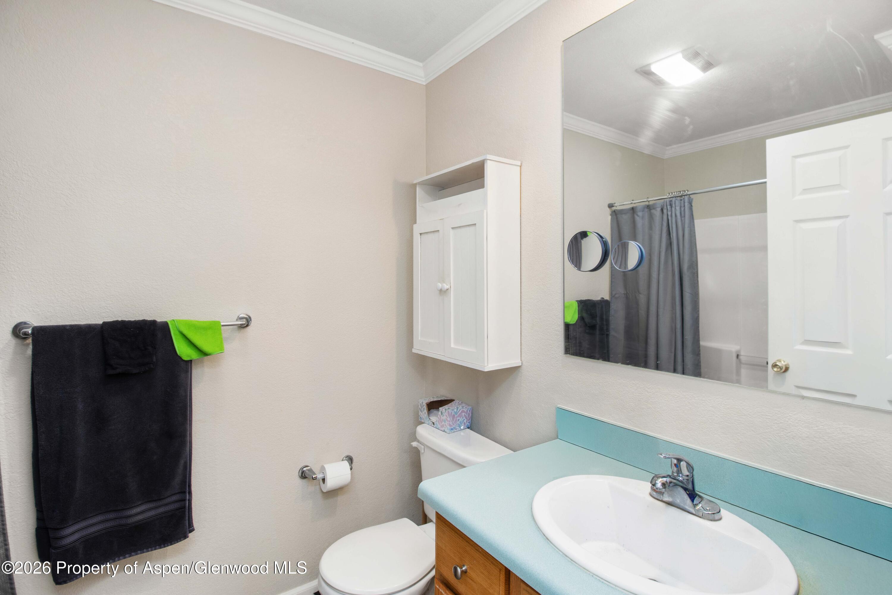 909 Cowen Drive Carbondale CO 81623