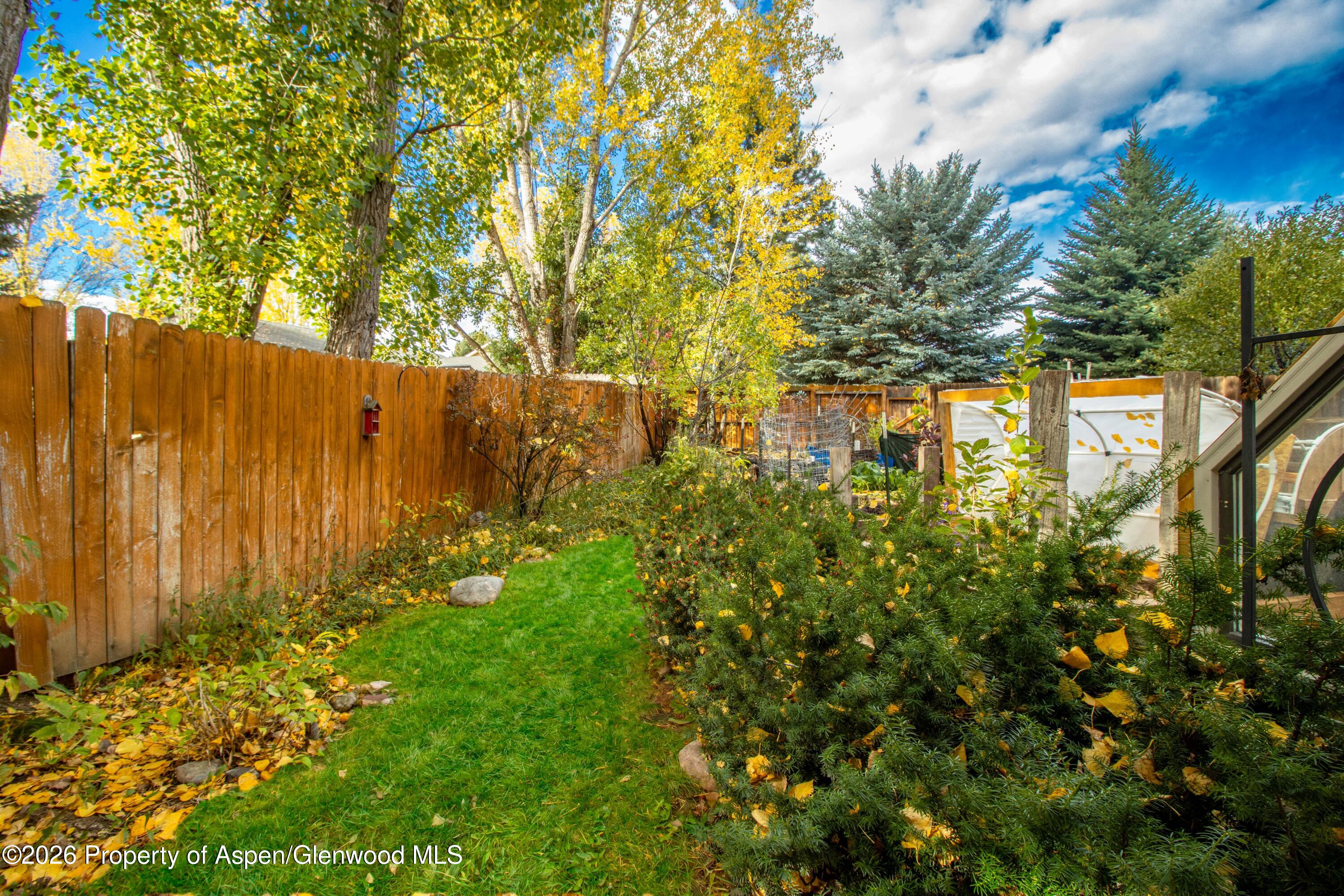 909 Cowen Drive Carbondale CO 81623