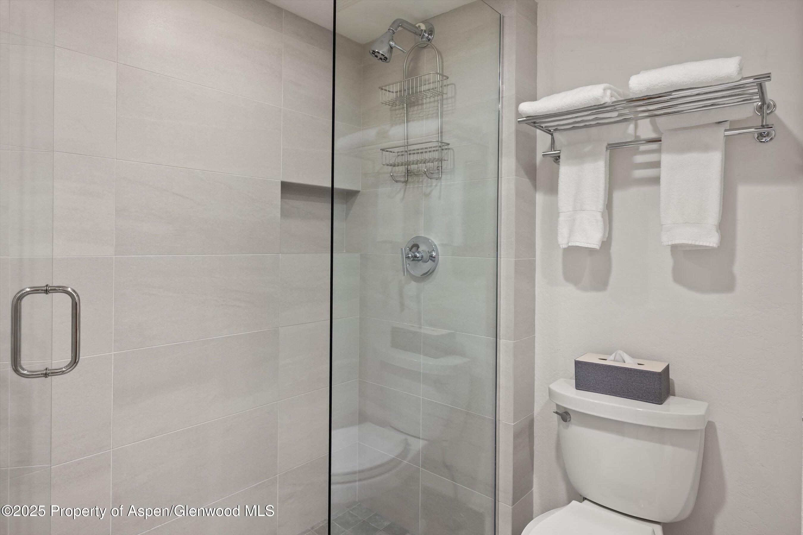 425 Wood Road Snowmass Village CO 81615