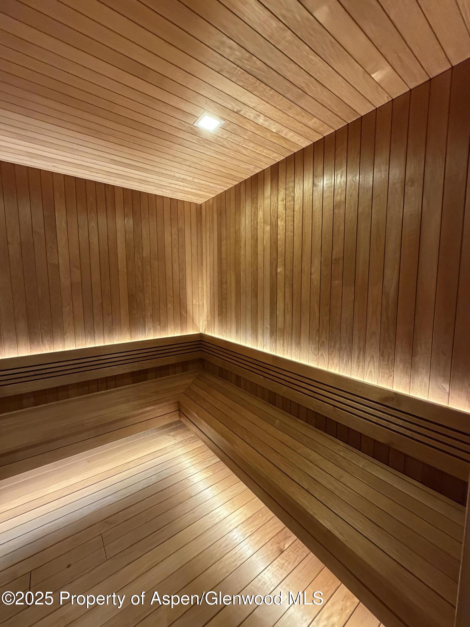 425 Wood Road Snowmass Village CO 81615