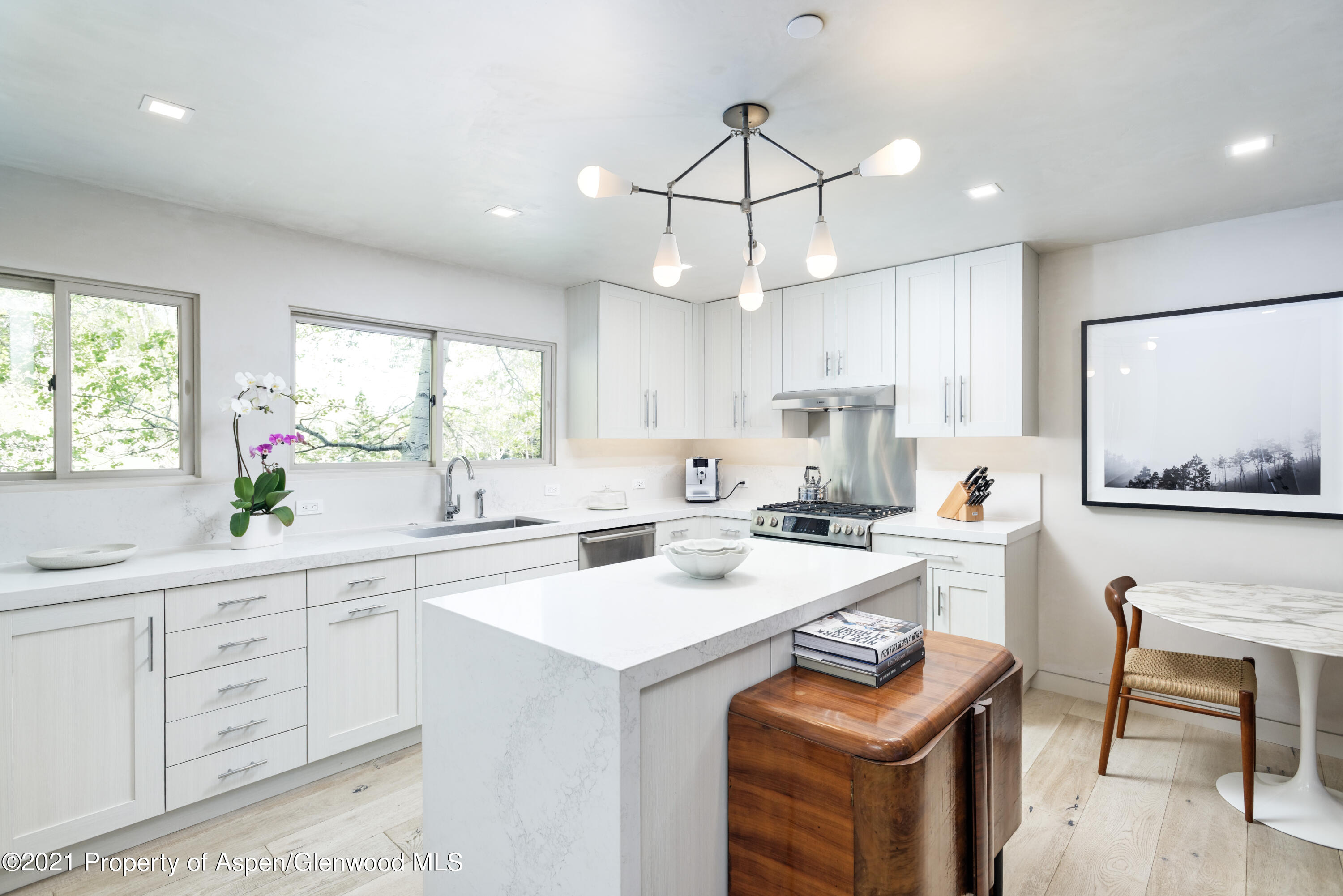 124 E Durant Avenue Aspen CO 81611