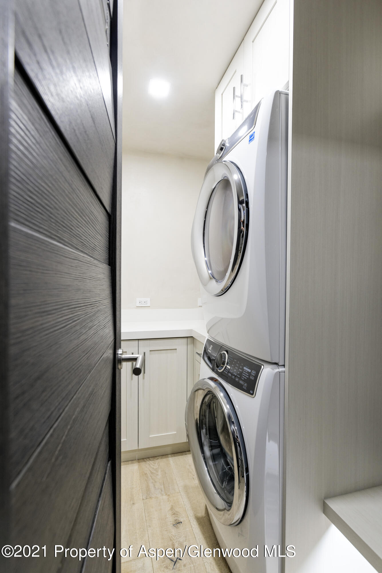 124 E Durant Avenue Aspen CO 81611