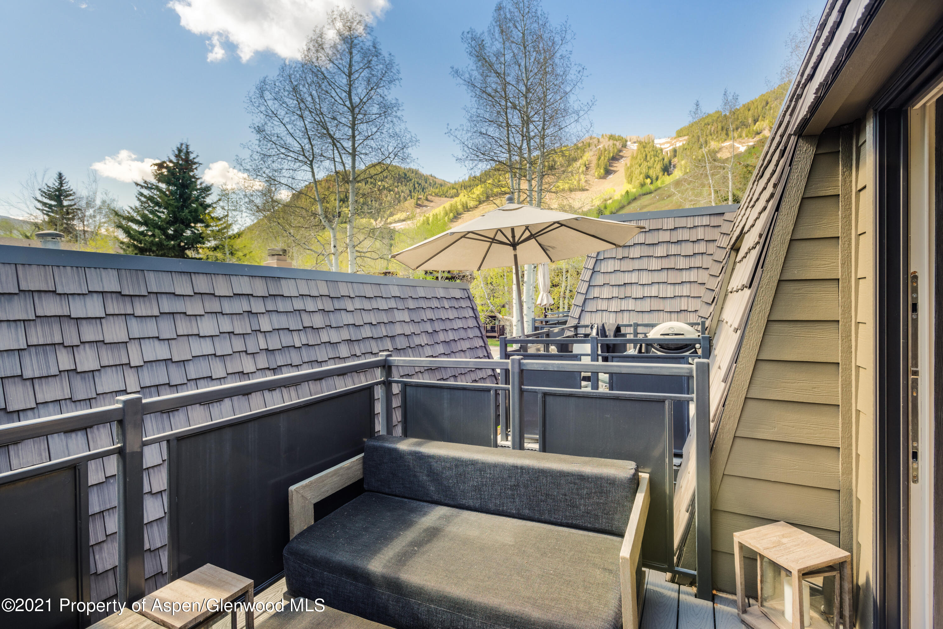 124 E Durant Avenue Aspen CO 81611