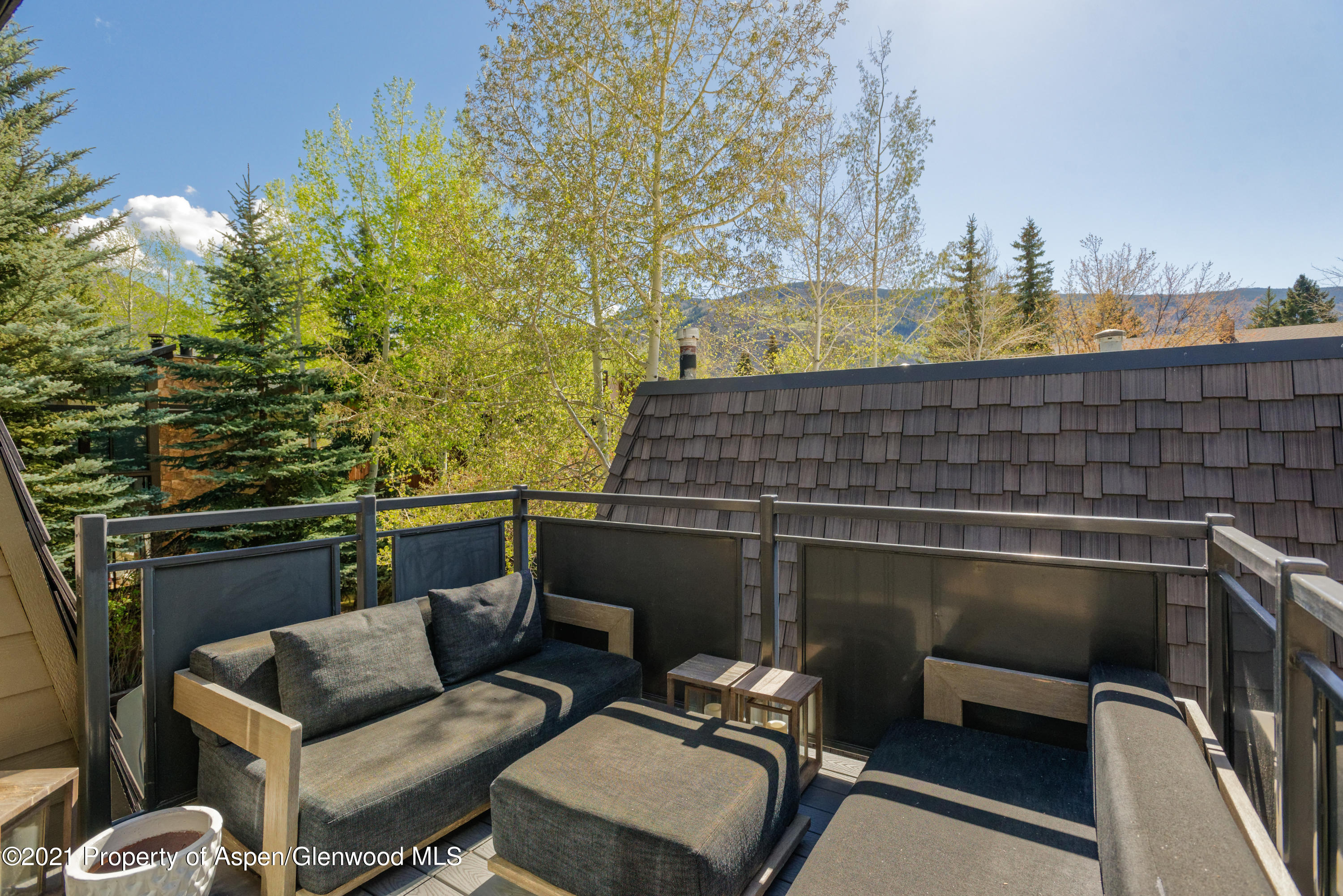 124 E Durant Avenue Aspen CO 81611