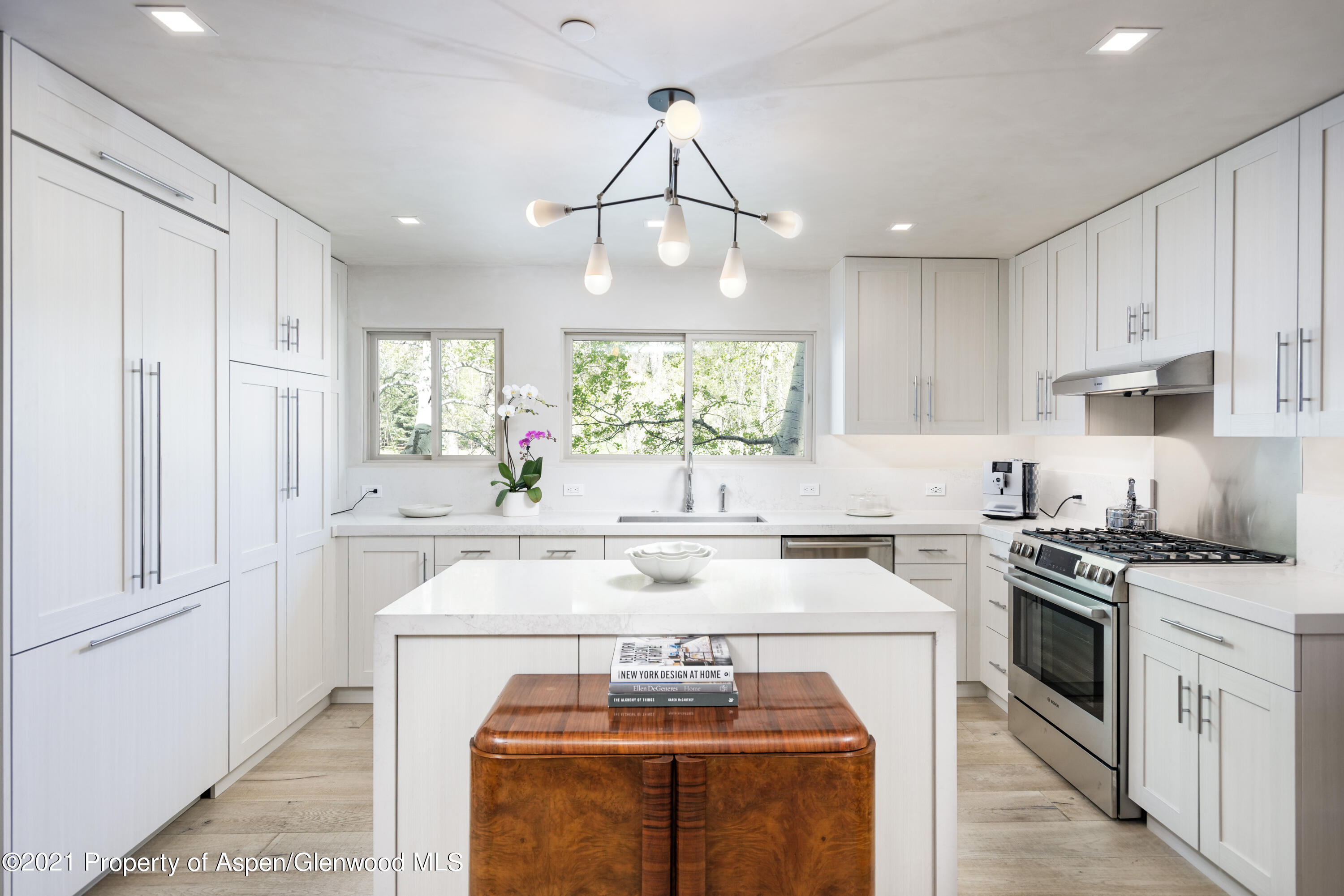 124 E Durant Avenue Aspen CO 81611