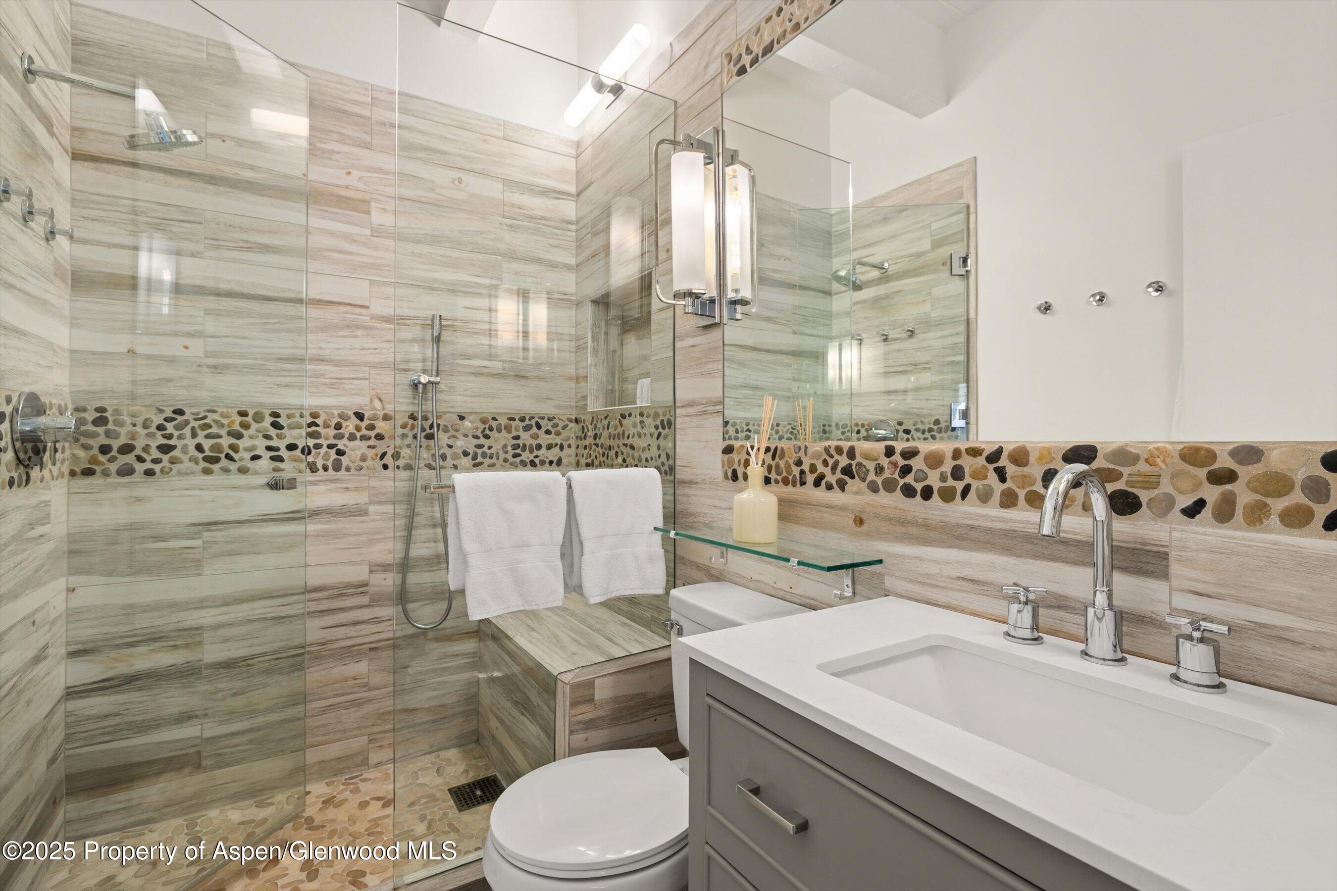 731 E Durant Avenue Aspen CO 81611