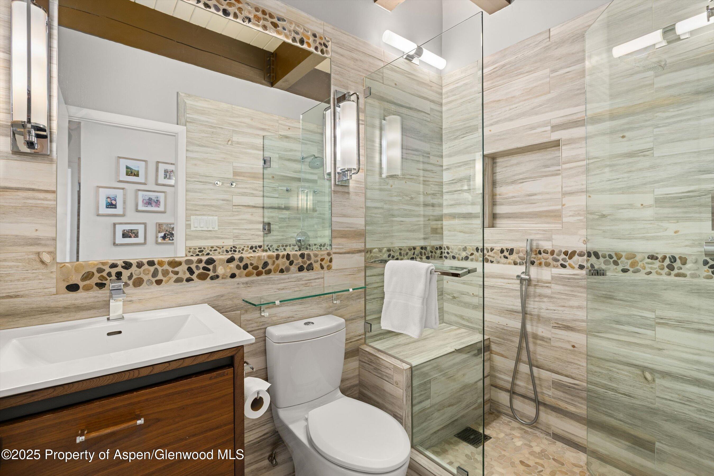 731 E Durant Avenue Aspen CO 81611