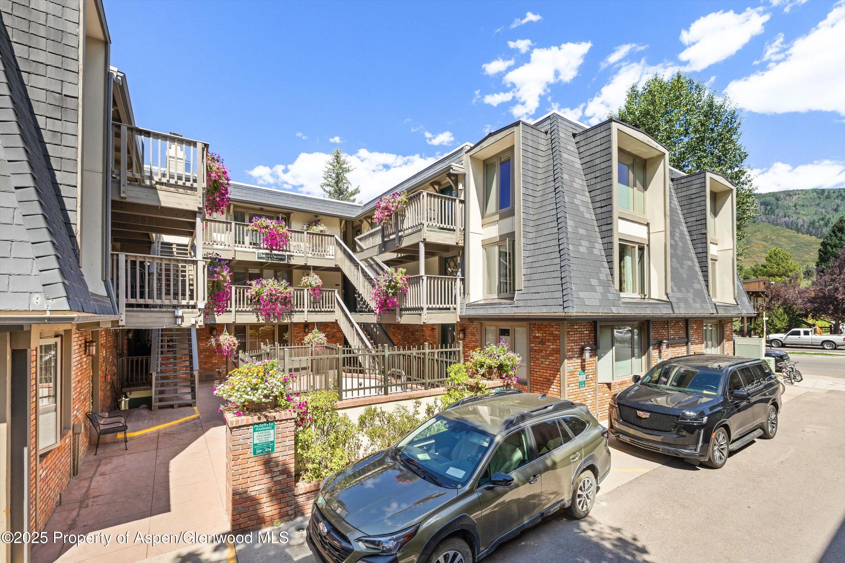 731 E Durant Avenue Aspen CO 81611