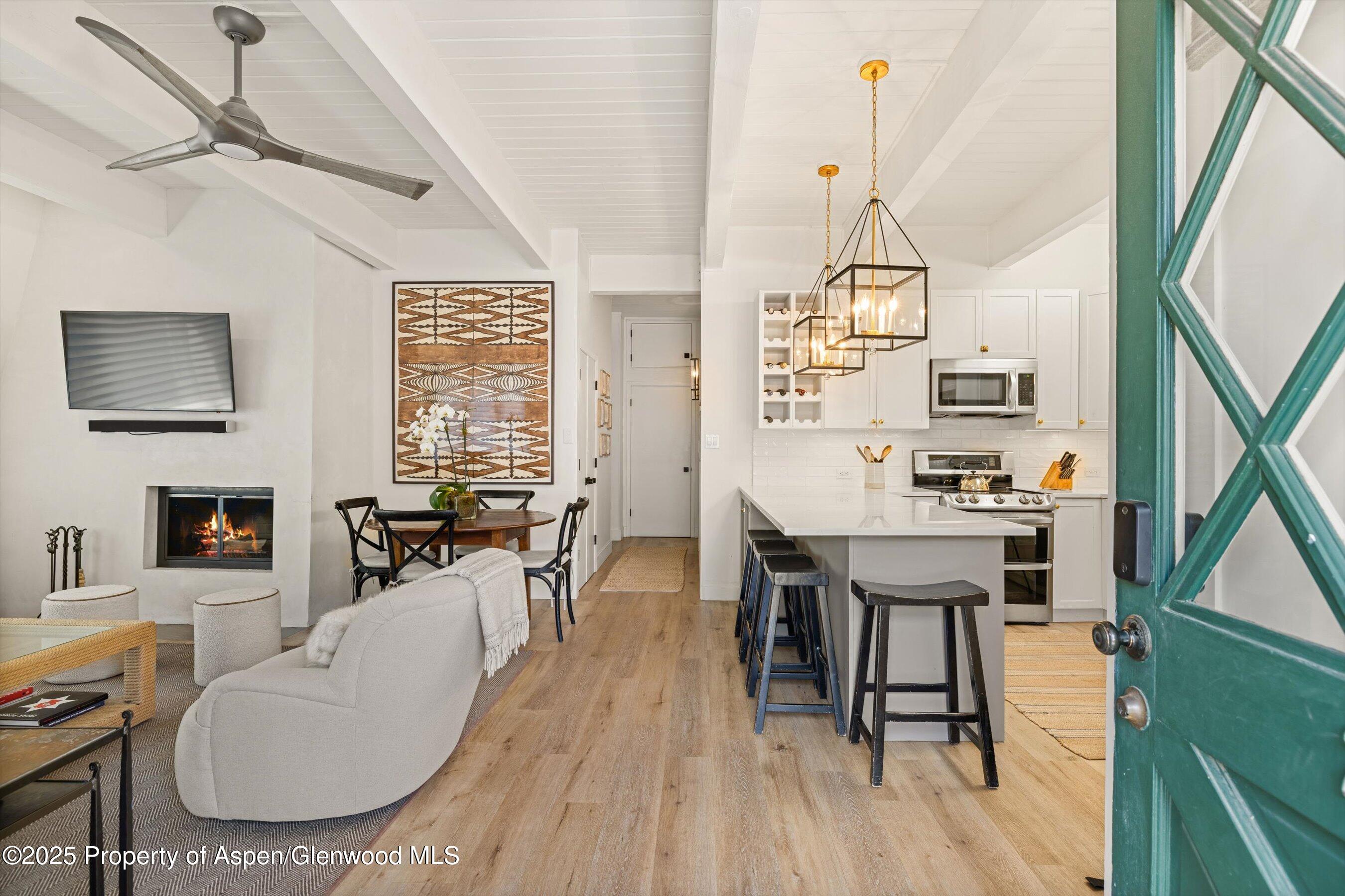 731 E Durant Avenue Aspen CO 81611