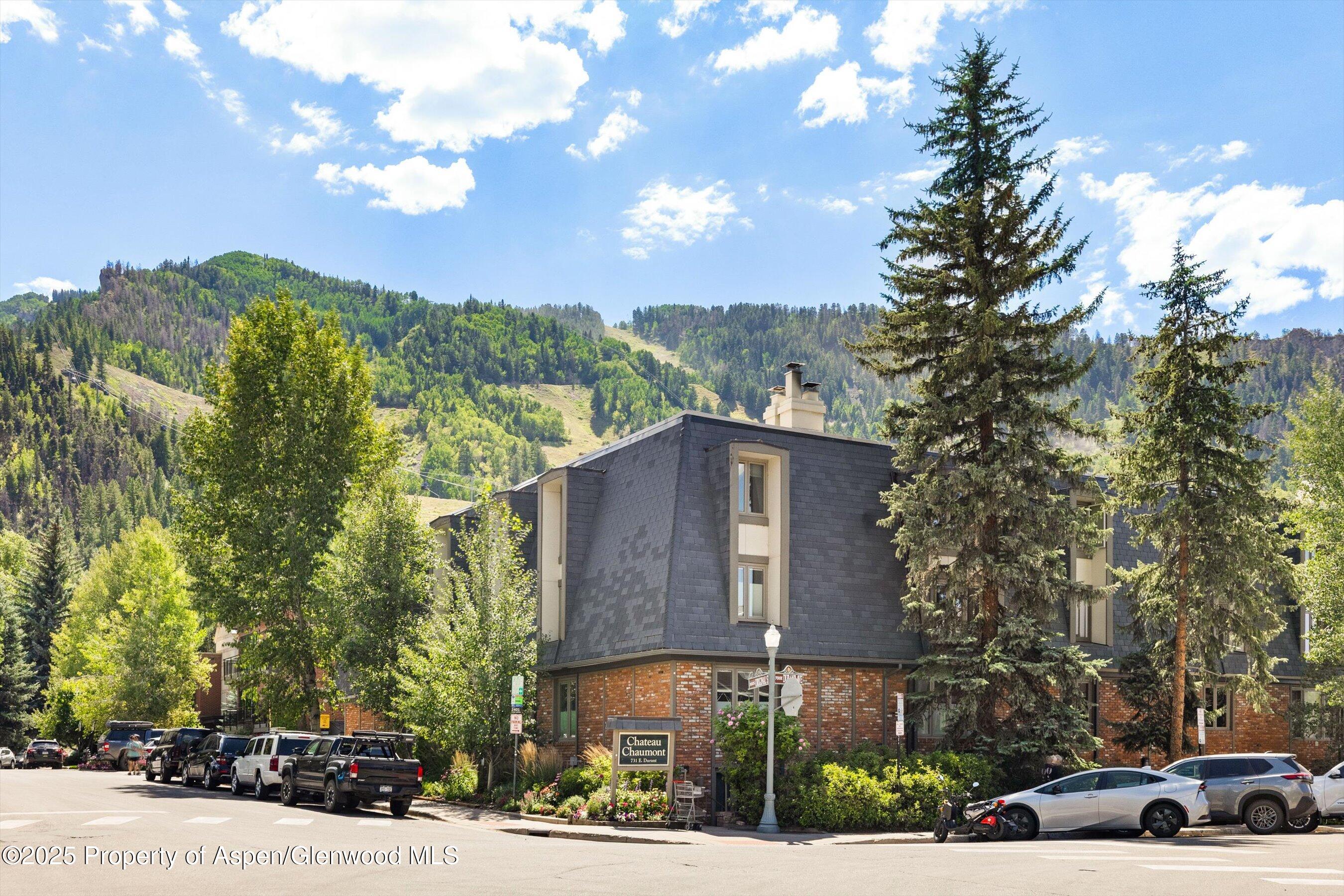 731 E Durant Avenue Aspen CO 81611