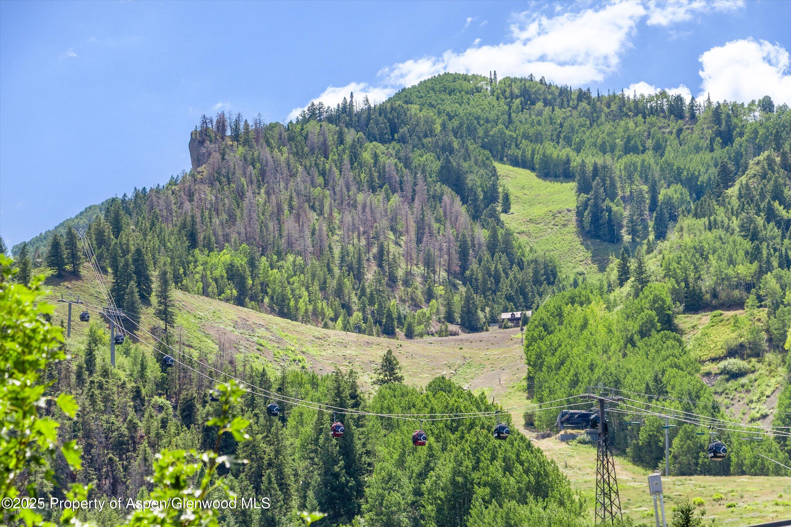 731 E Durant Avenue Aspen CO 81611