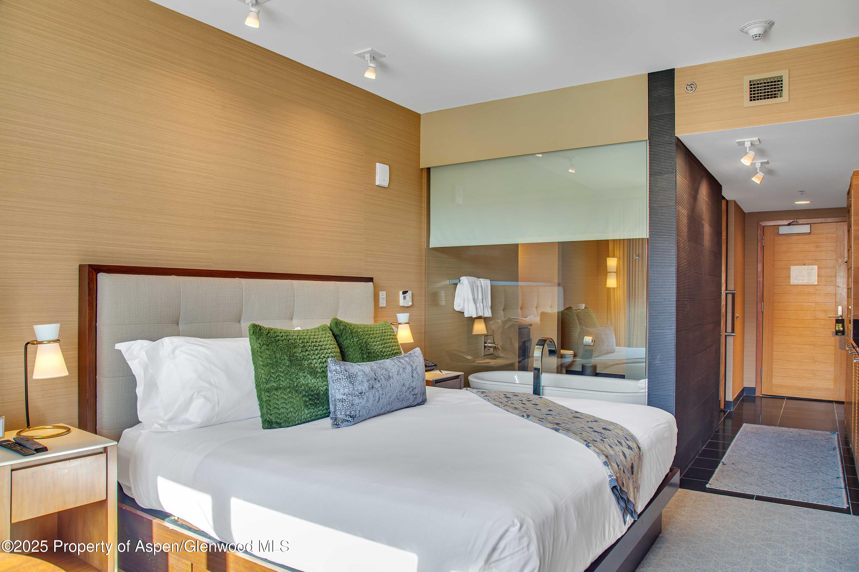 Snowmass Village CO, 130 Wood Road, Unit 736