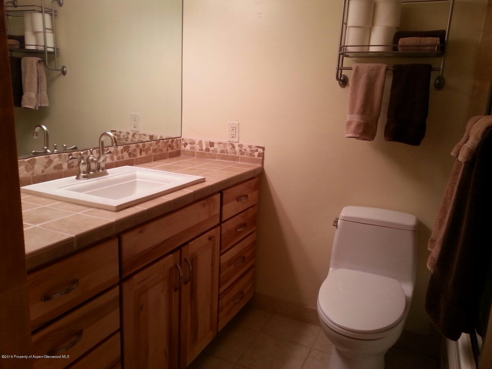 236 Vine Street Aspen CO 81611