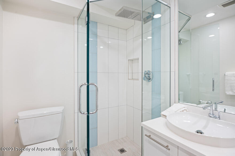 222 W Hopkins Avenue Aspen CO 81611