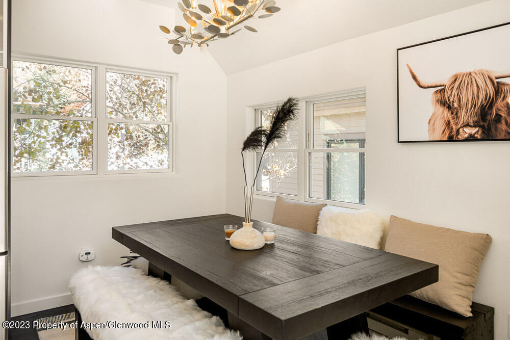 222 W Hopkins Avenue Aspen CO 81611