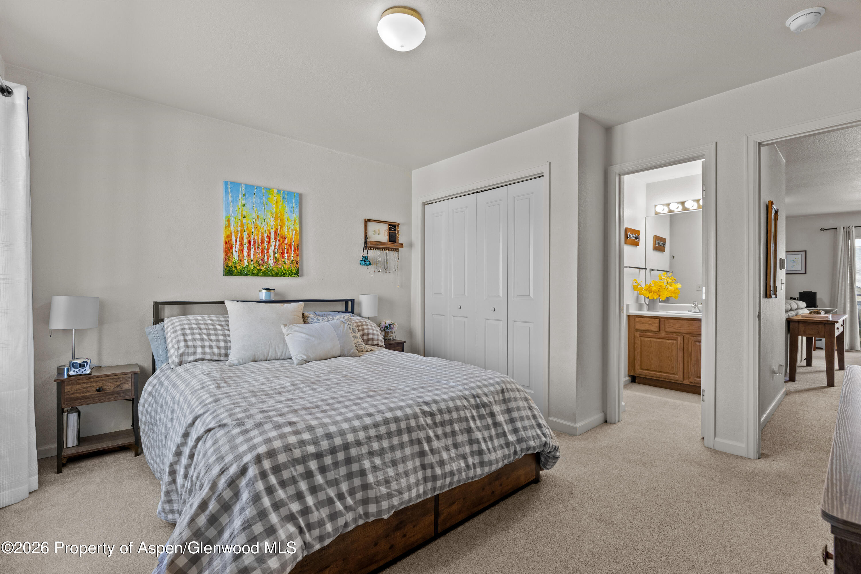 202 12th Street Carbondale CO 81623