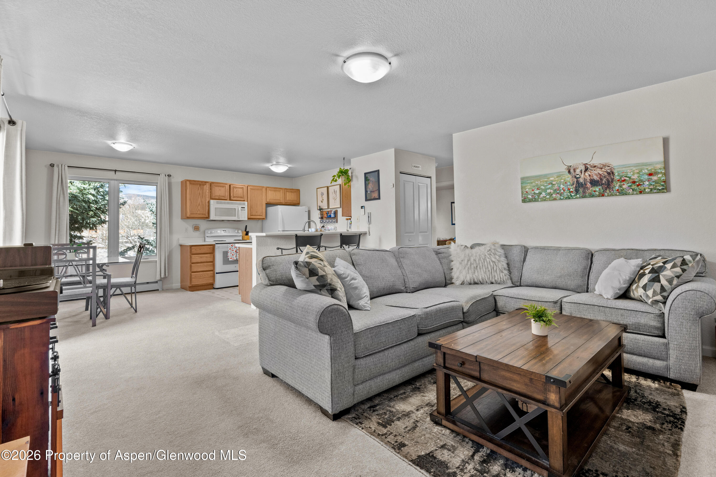 202 12th Street Carbondale CO 81623