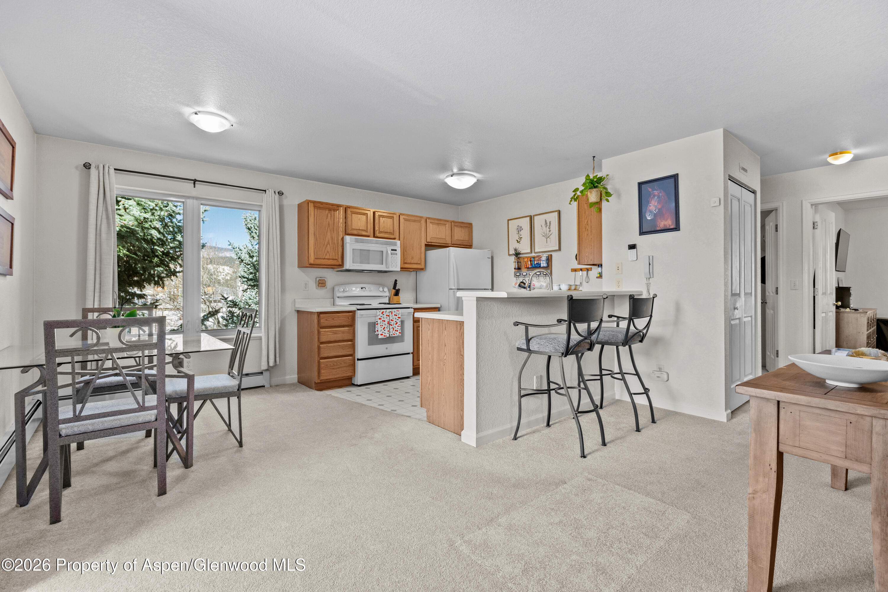 202 12th Street Carbondale CO 81623