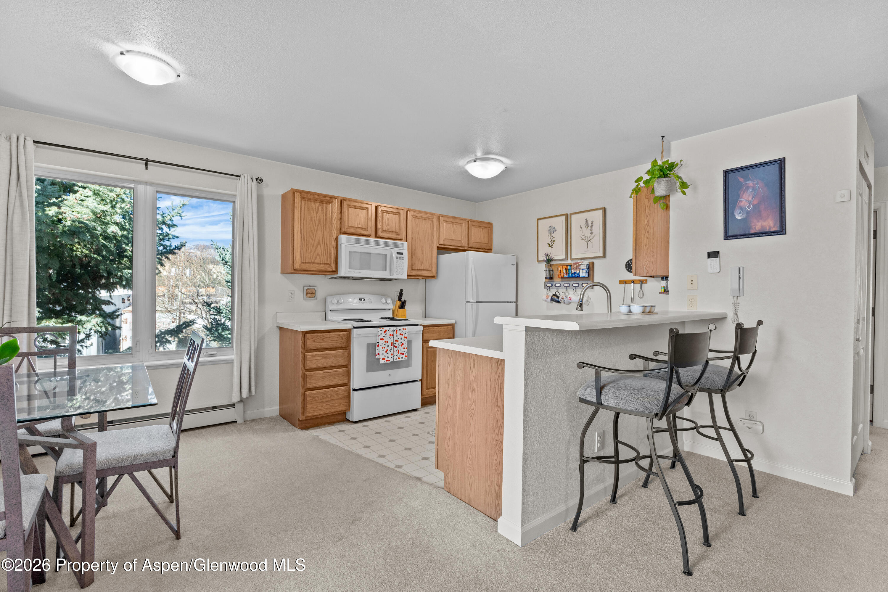 202 12th Street Carbondale CO 81623