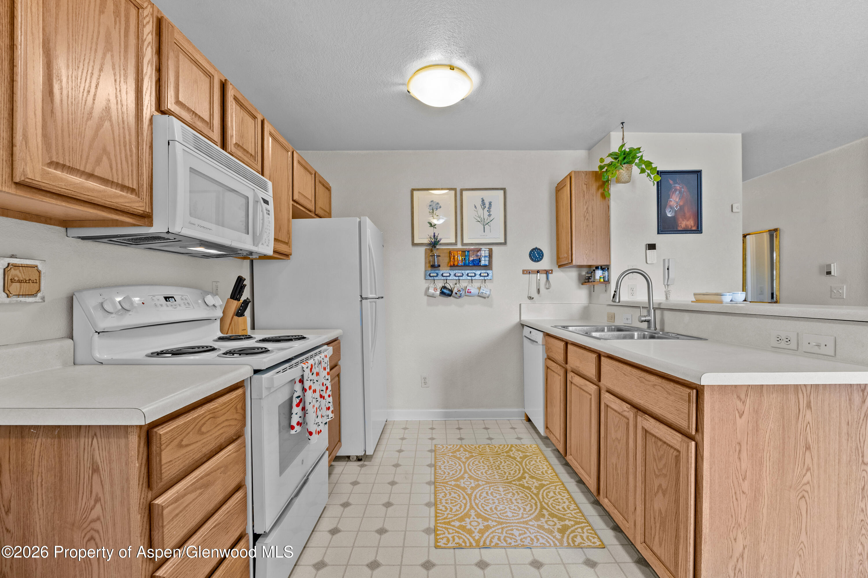 202 12th Street Carbondale CO 81623